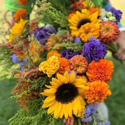 sunflowers.jpg