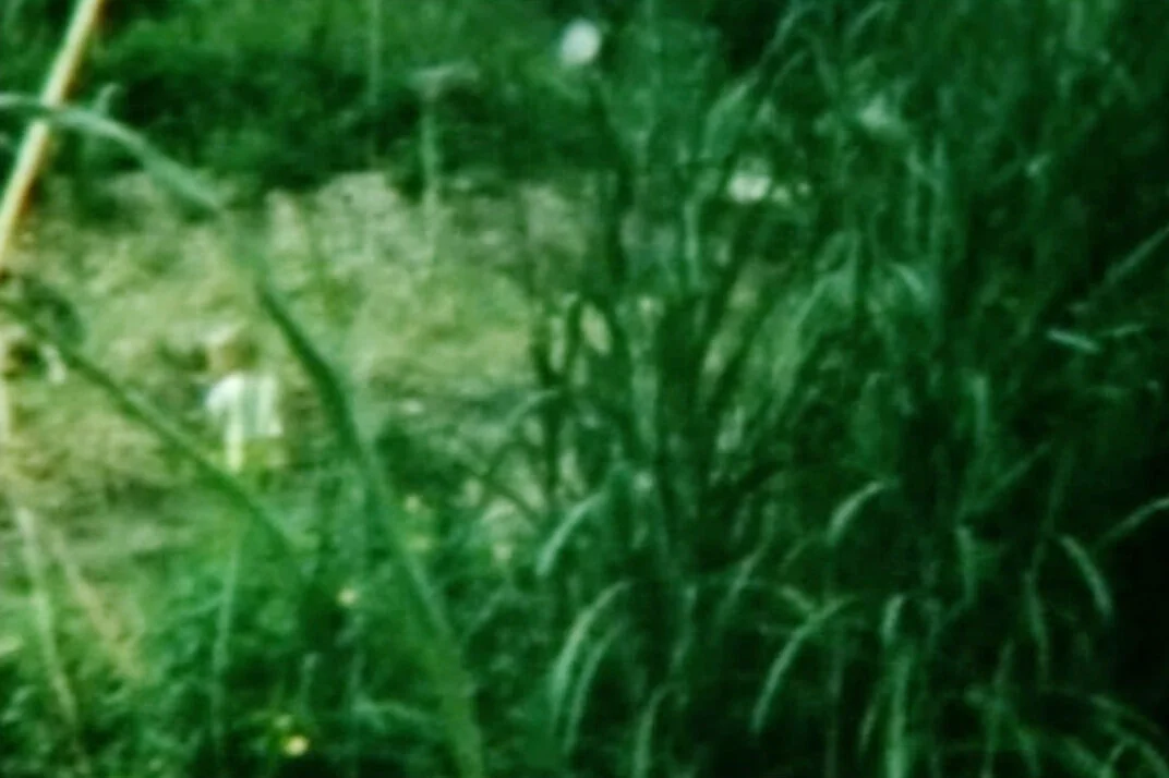 still12.jpg