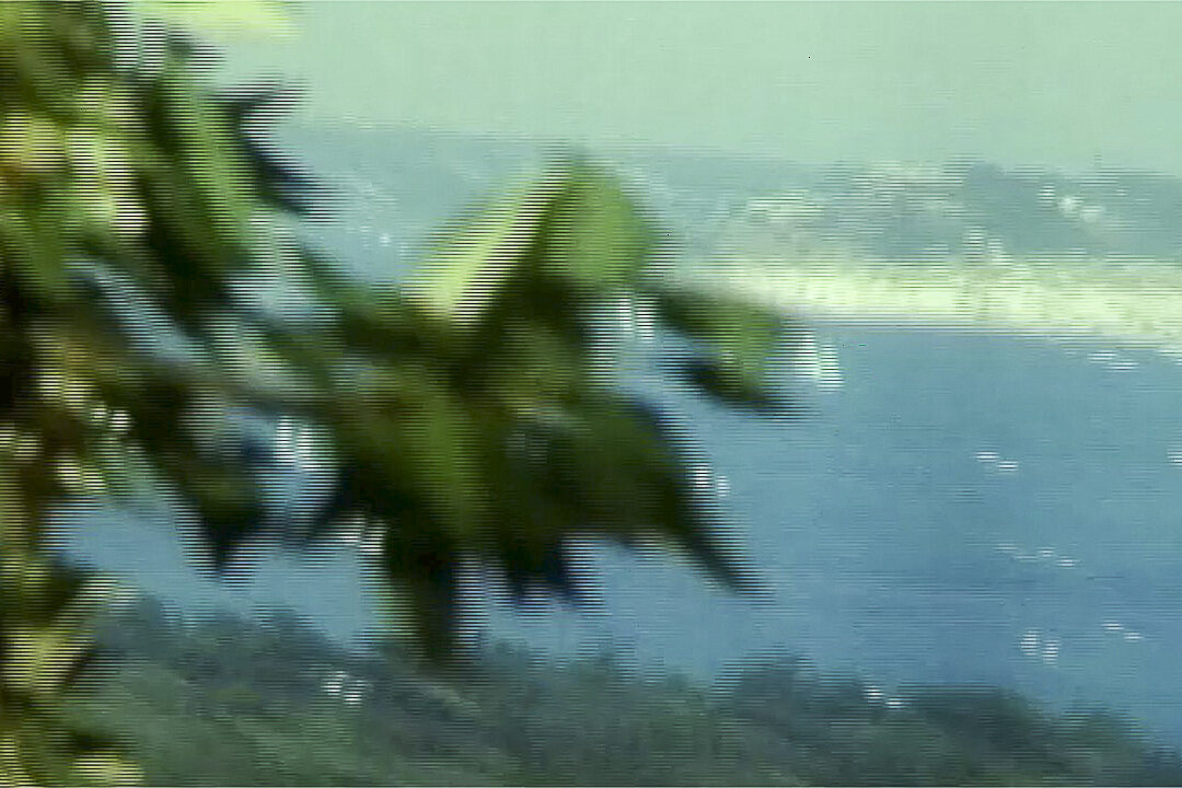 rekto-8.jpg