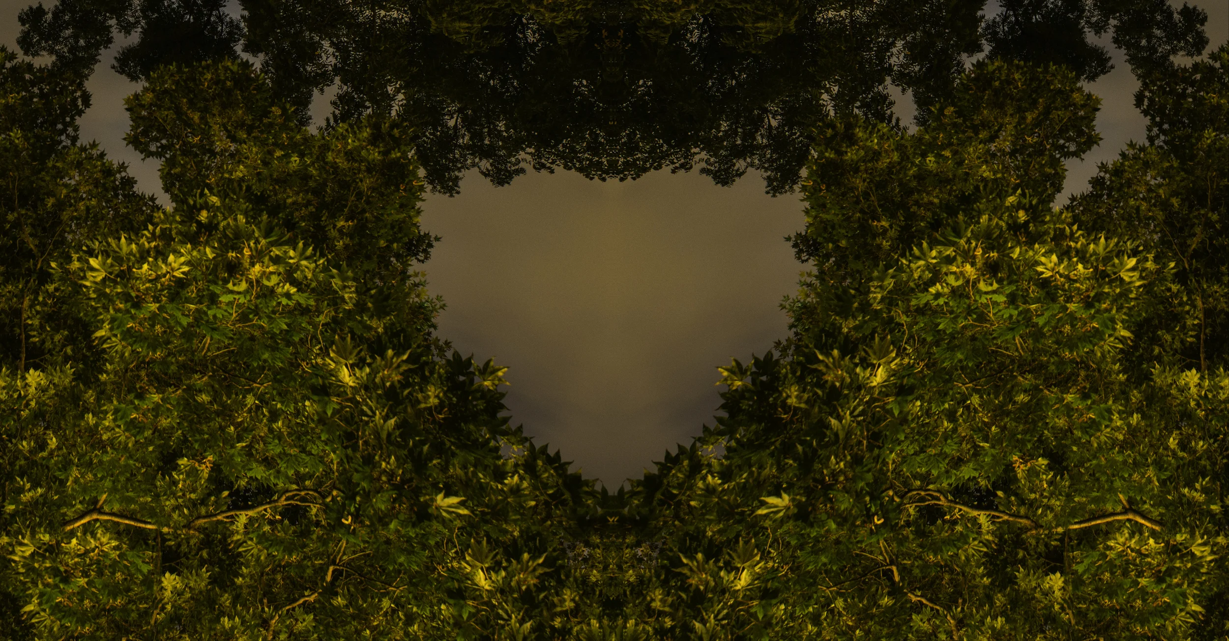 4_Treeehart_20x10_lite.jpg