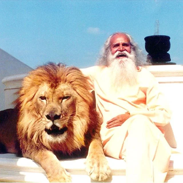 ⚡️🤠✌🏽weekends✌🏽🤠⚡️