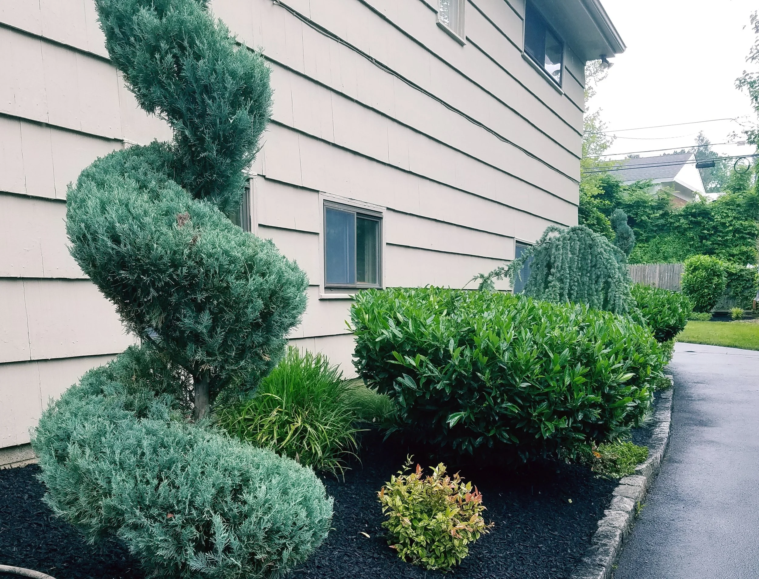 20170609_230136.jpg
