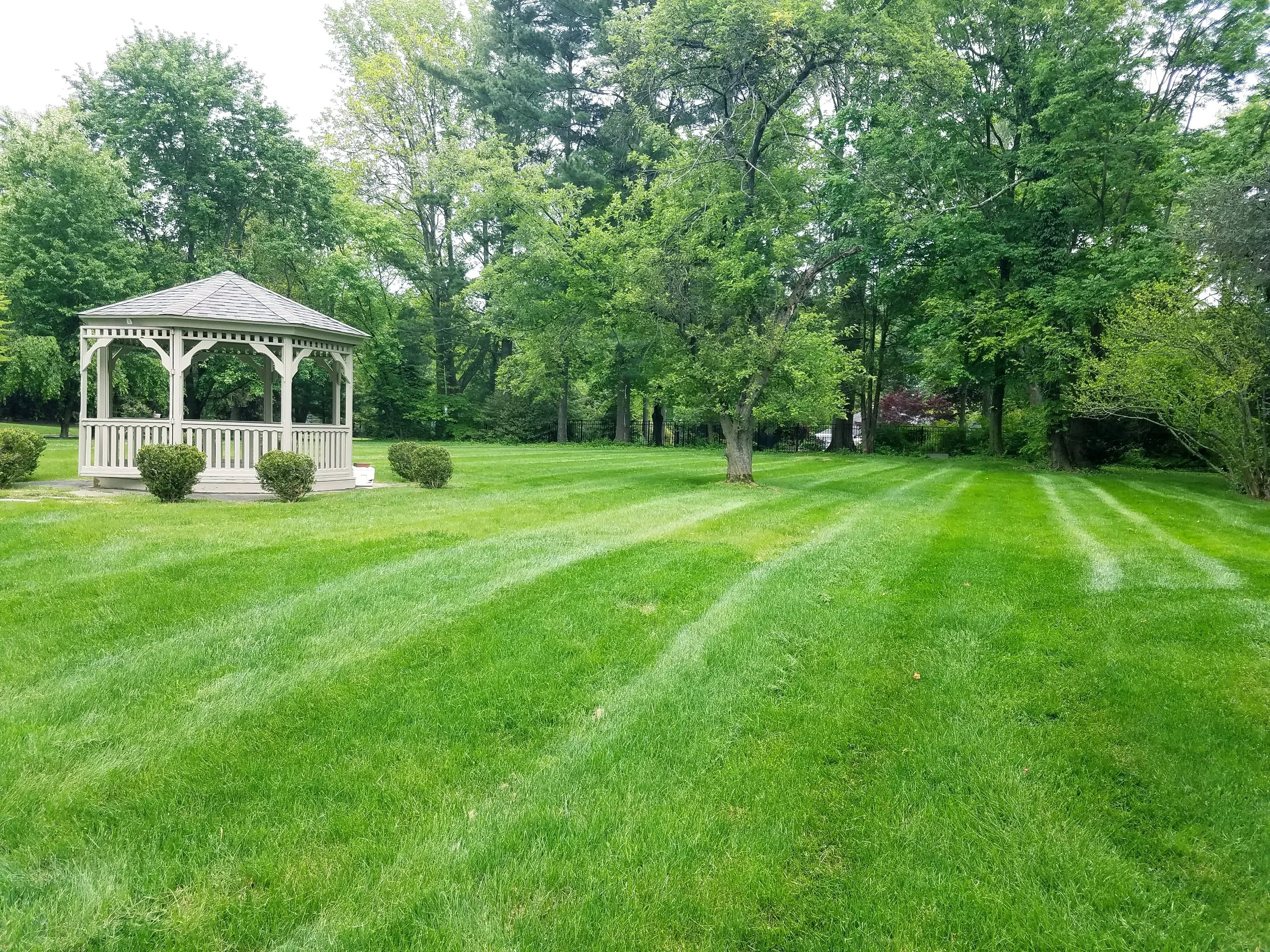 20170609_231948.jpg