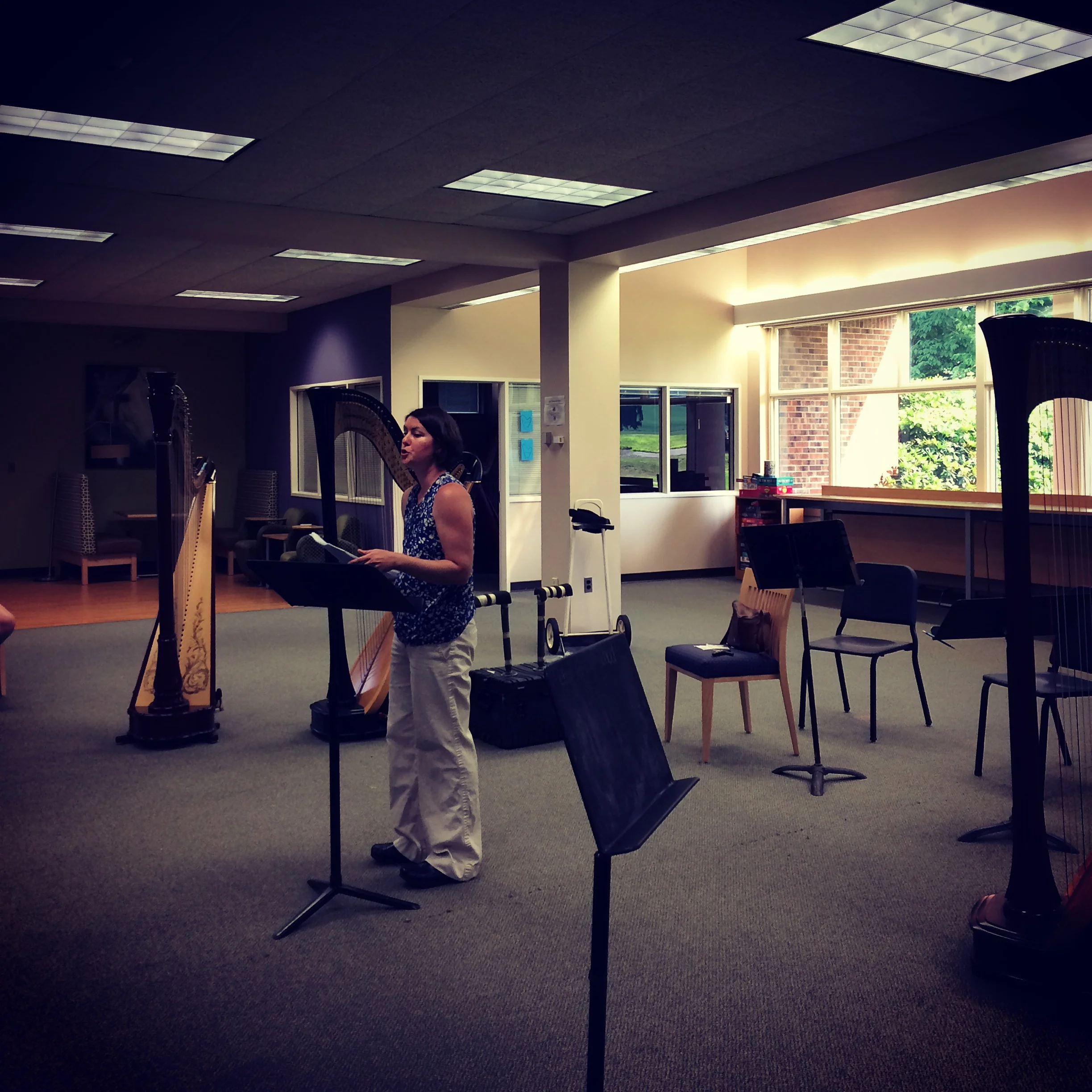 Rachael Galbraith from the Harp Connection talking about harp maintenance.