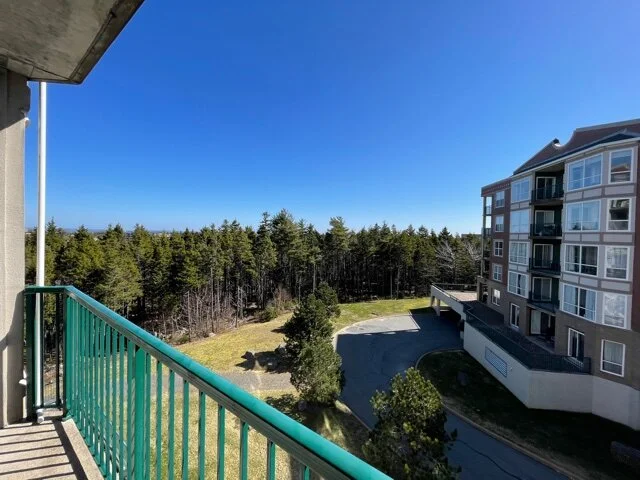 View6.jpg
