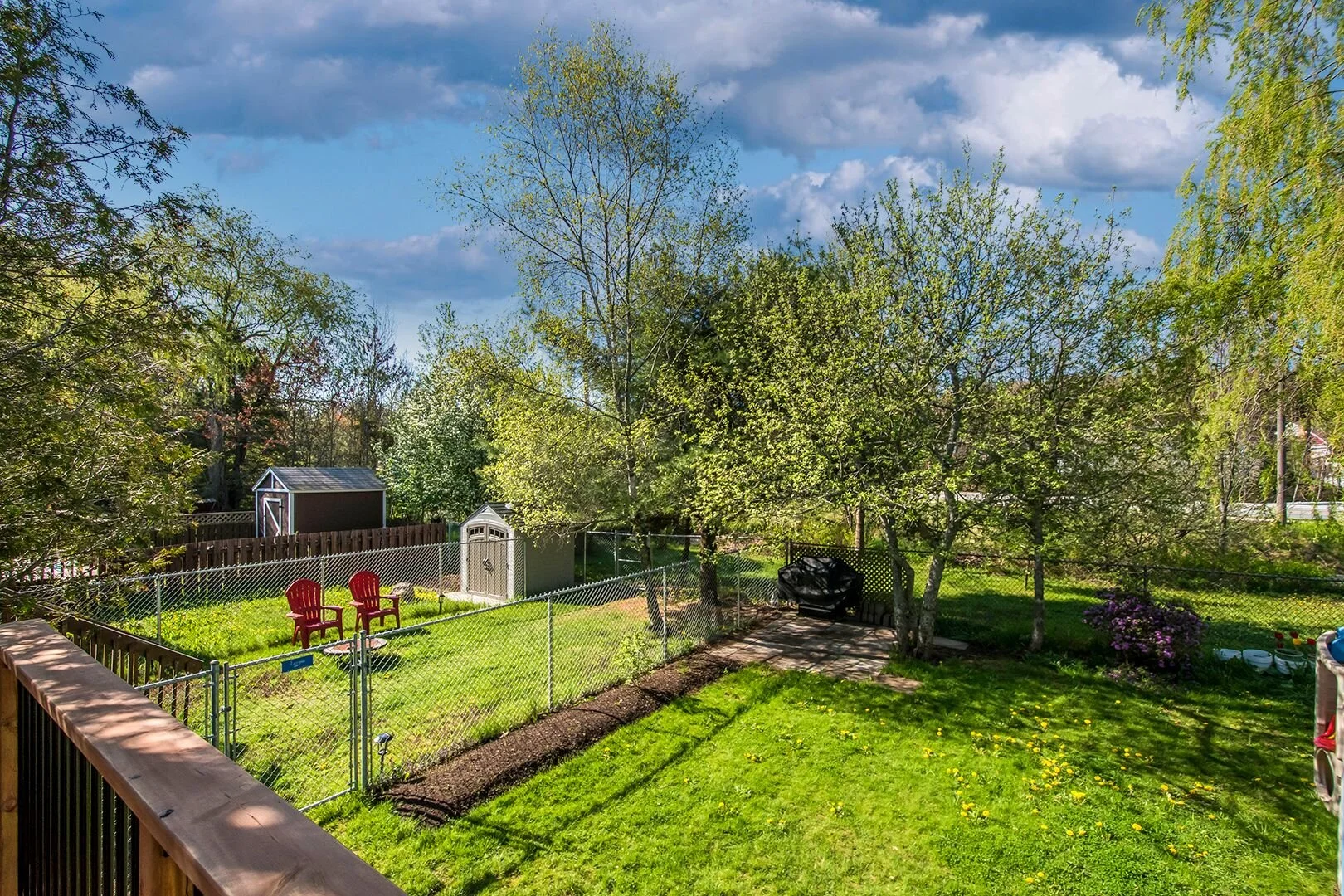 Back yardw.jpeg