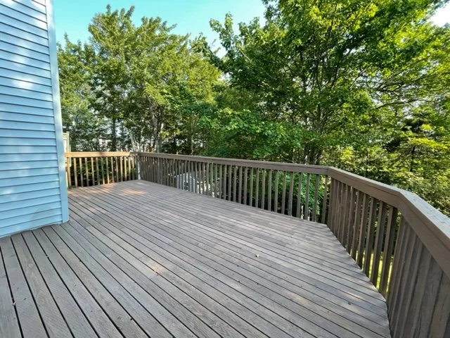 Deck5.jpg