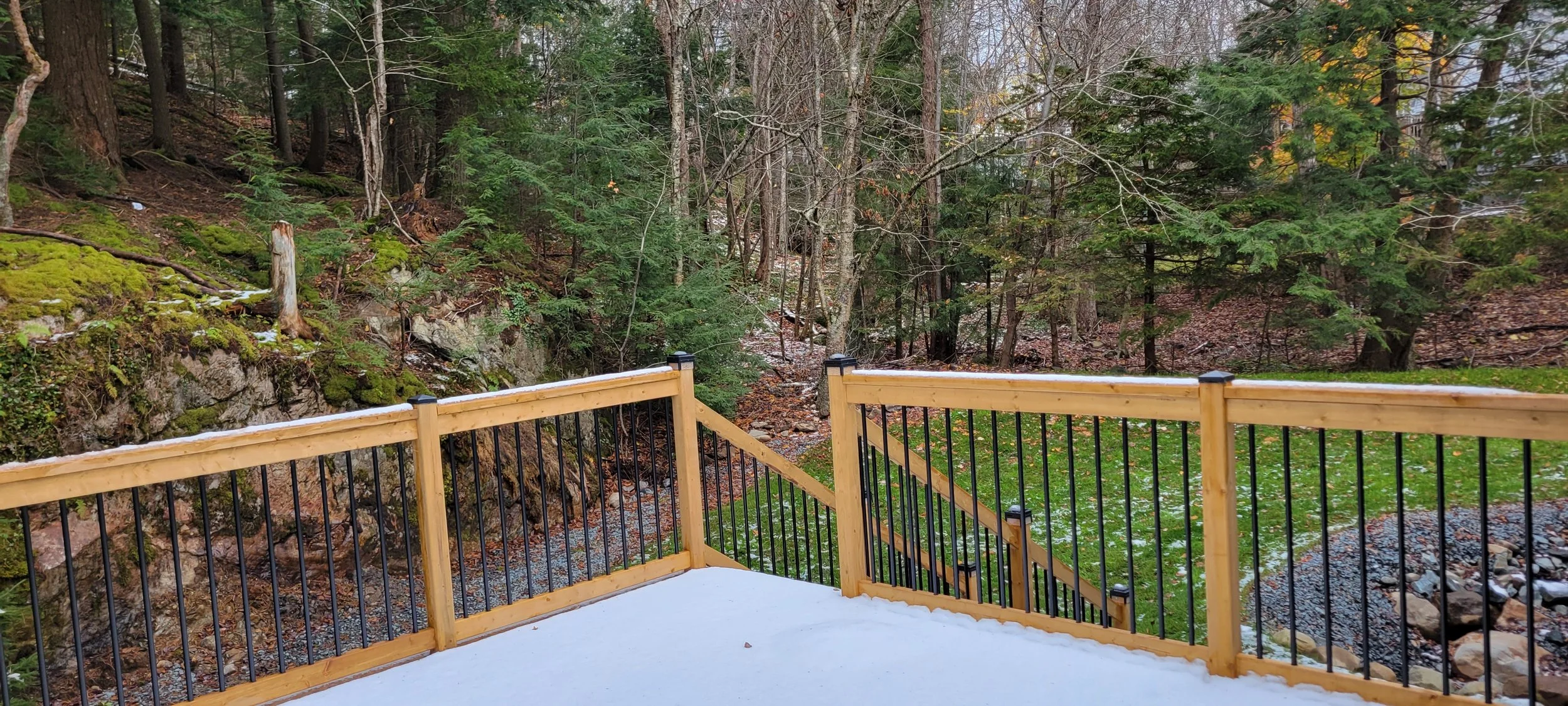Backl yard344.jpg