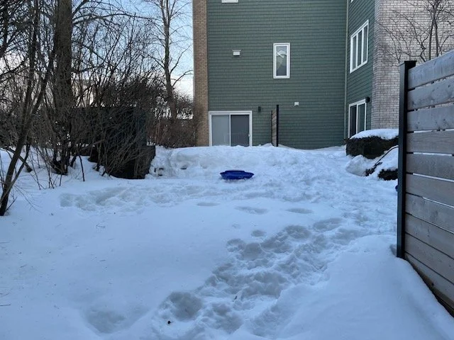 snow covered_2590.jpeg