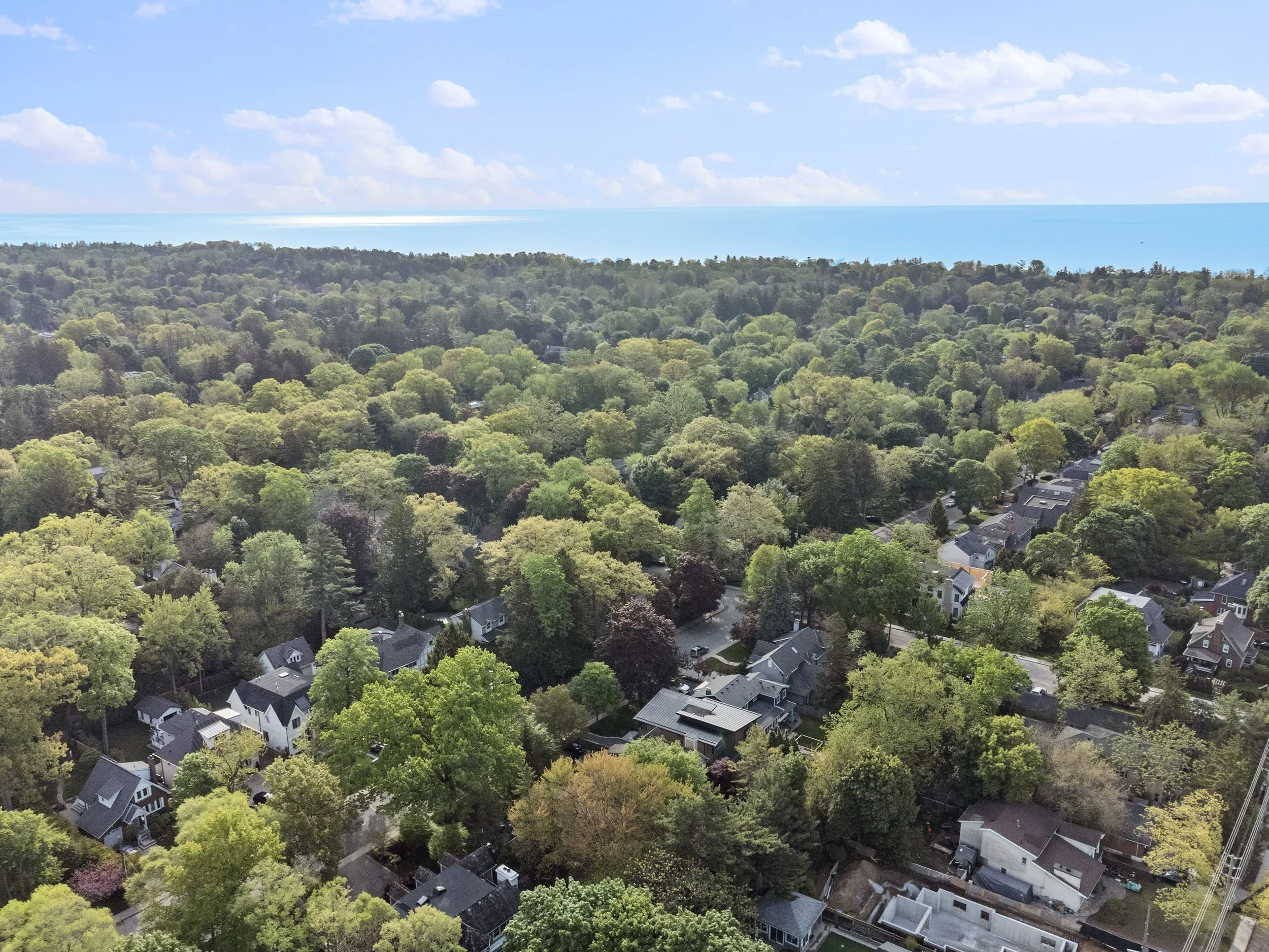 45_dji_0042.webp