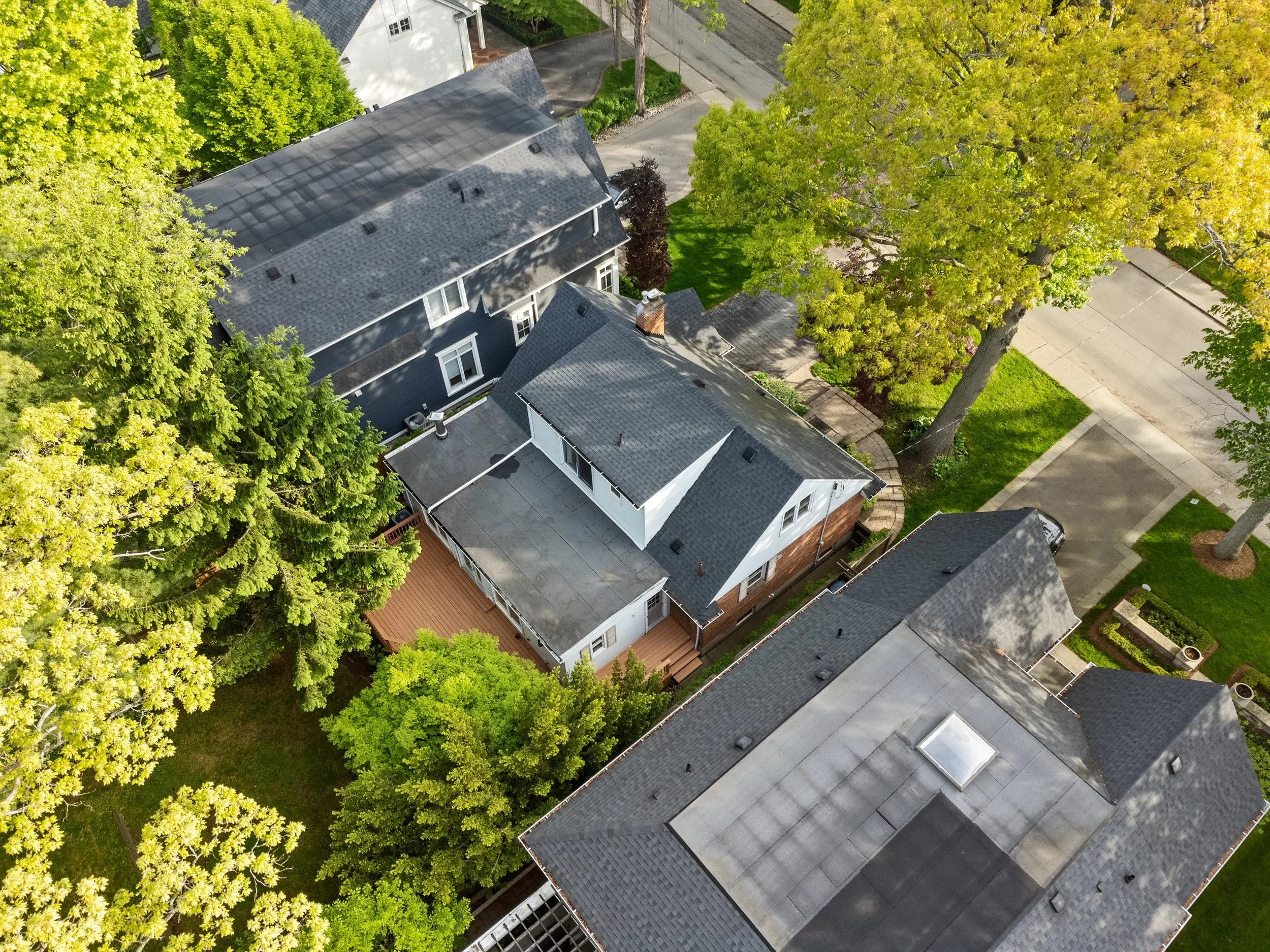 42_dji_0019.webp