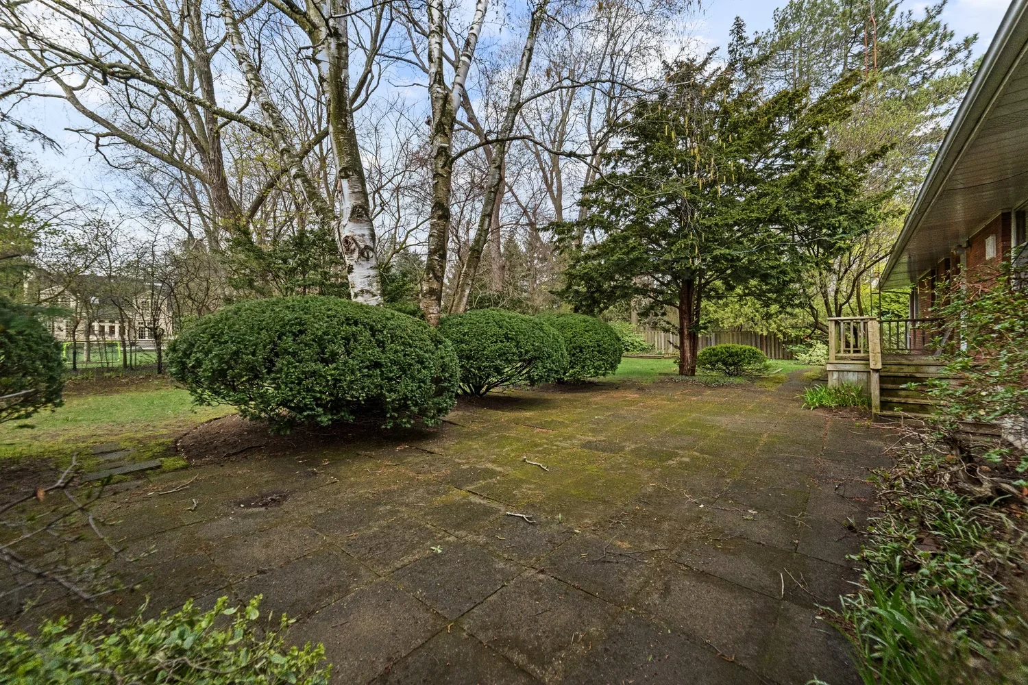 32_img_6579.webp