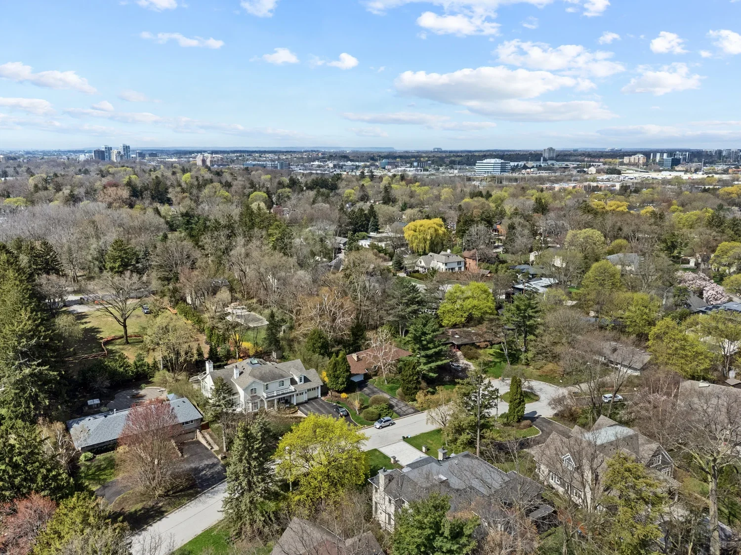 42_dji_0065.webp
