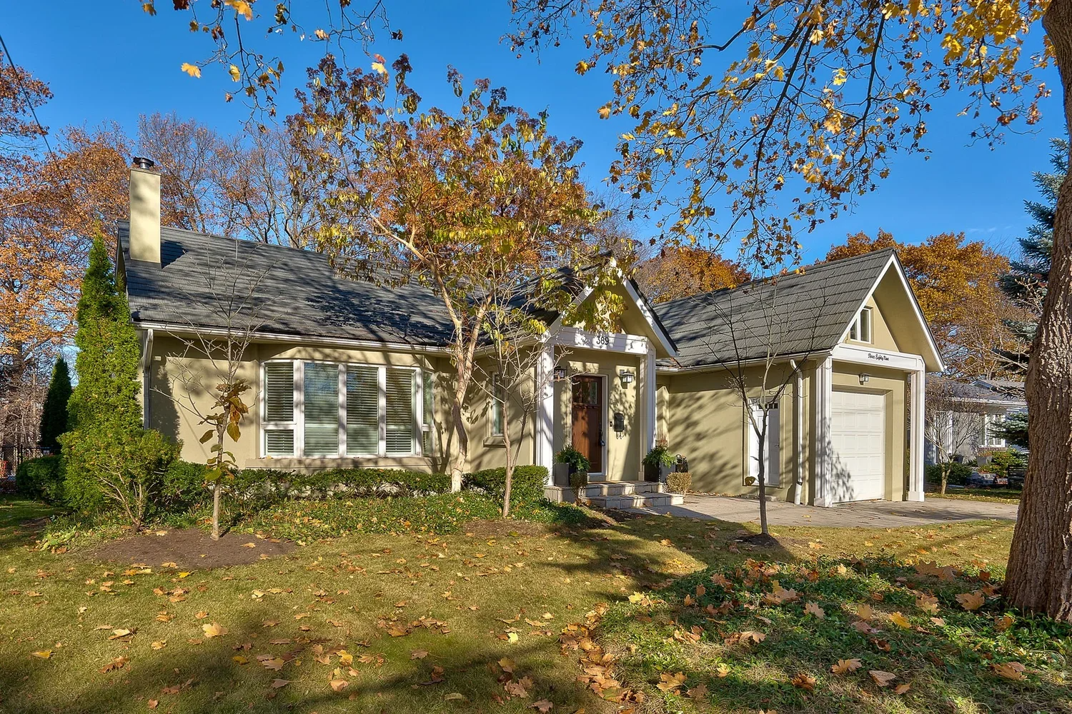 3-web-or-mls-DSC06028-HDR.webp