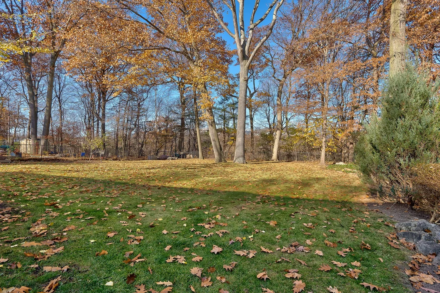 45-web-or-mls-DSC06043-HDR.webp