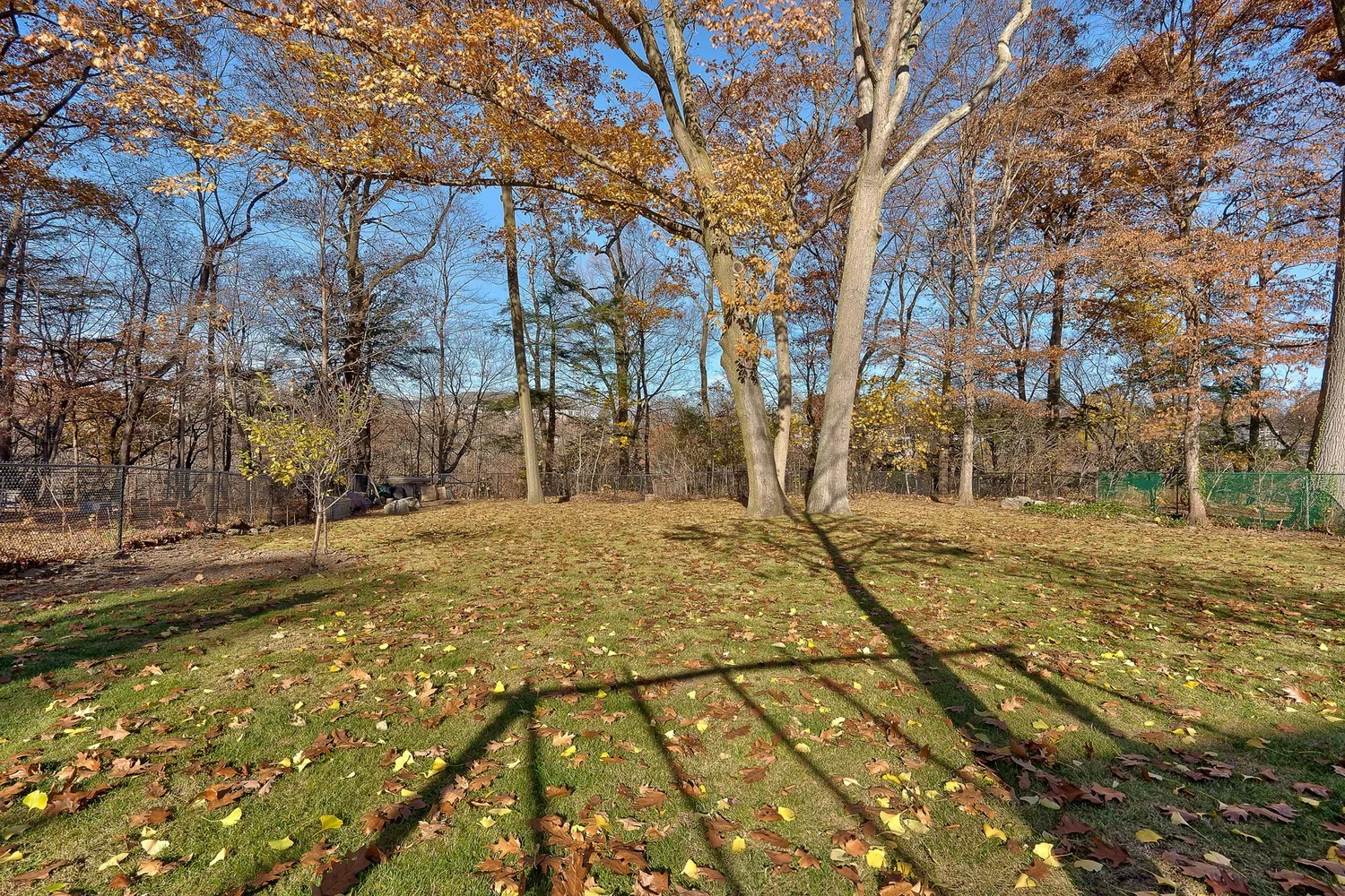 46-web-or-mls-DSC06078-HDR-Edit.webp