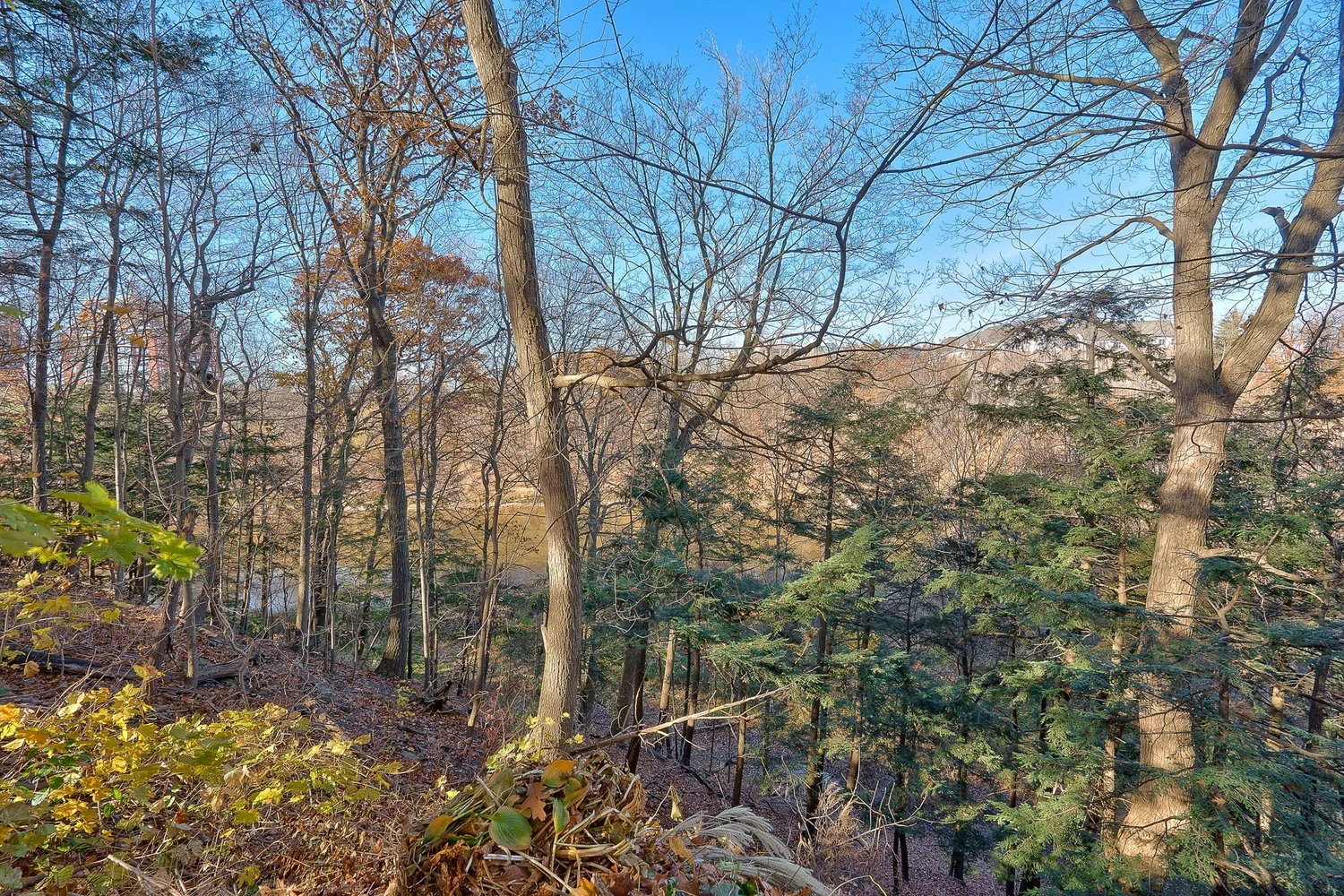 49-web-or-mls-DSC06123-HDR.webp