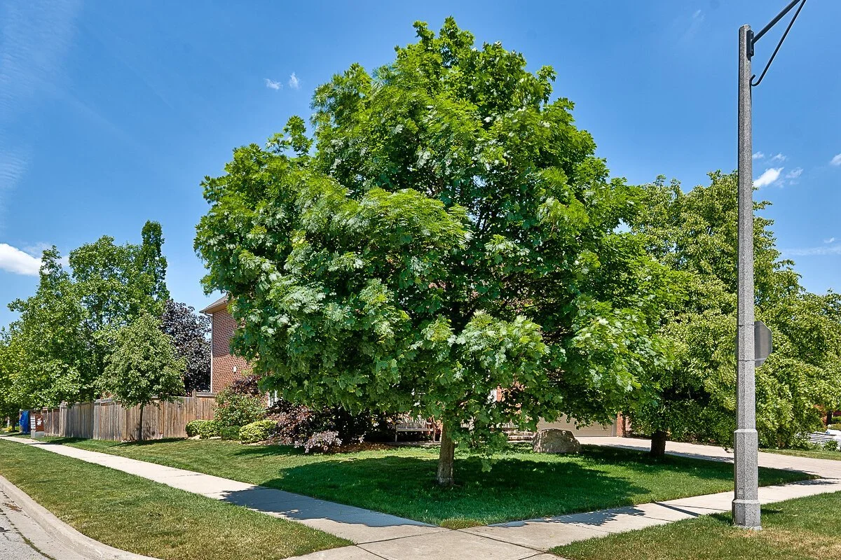 DSC01890-HDR.jpg