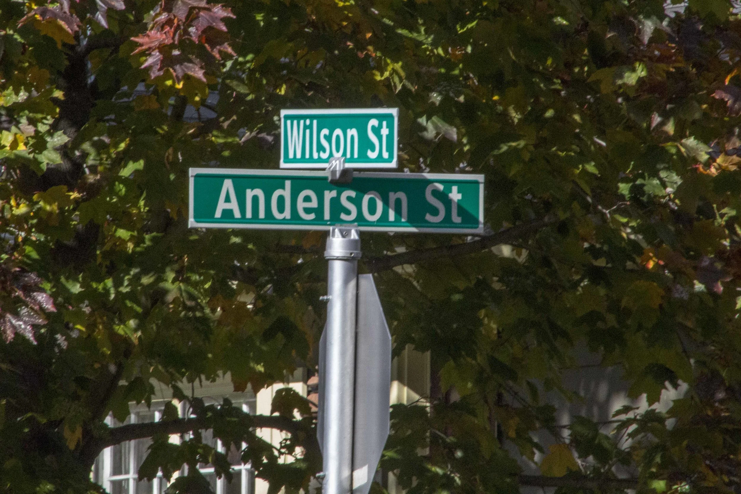 560+Sign+Wilson+St.jpg