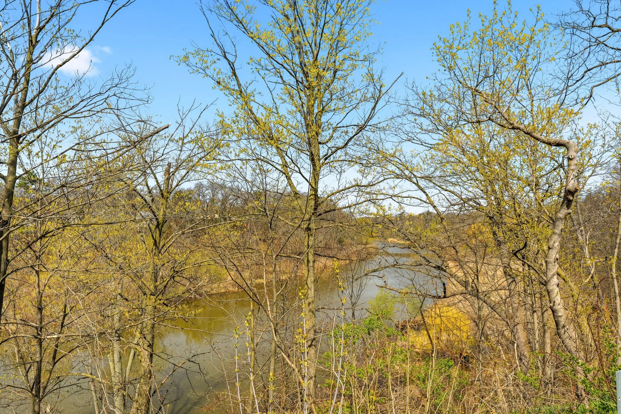 52-web-or-mls-EXTERIOR FRONT-5.jpg