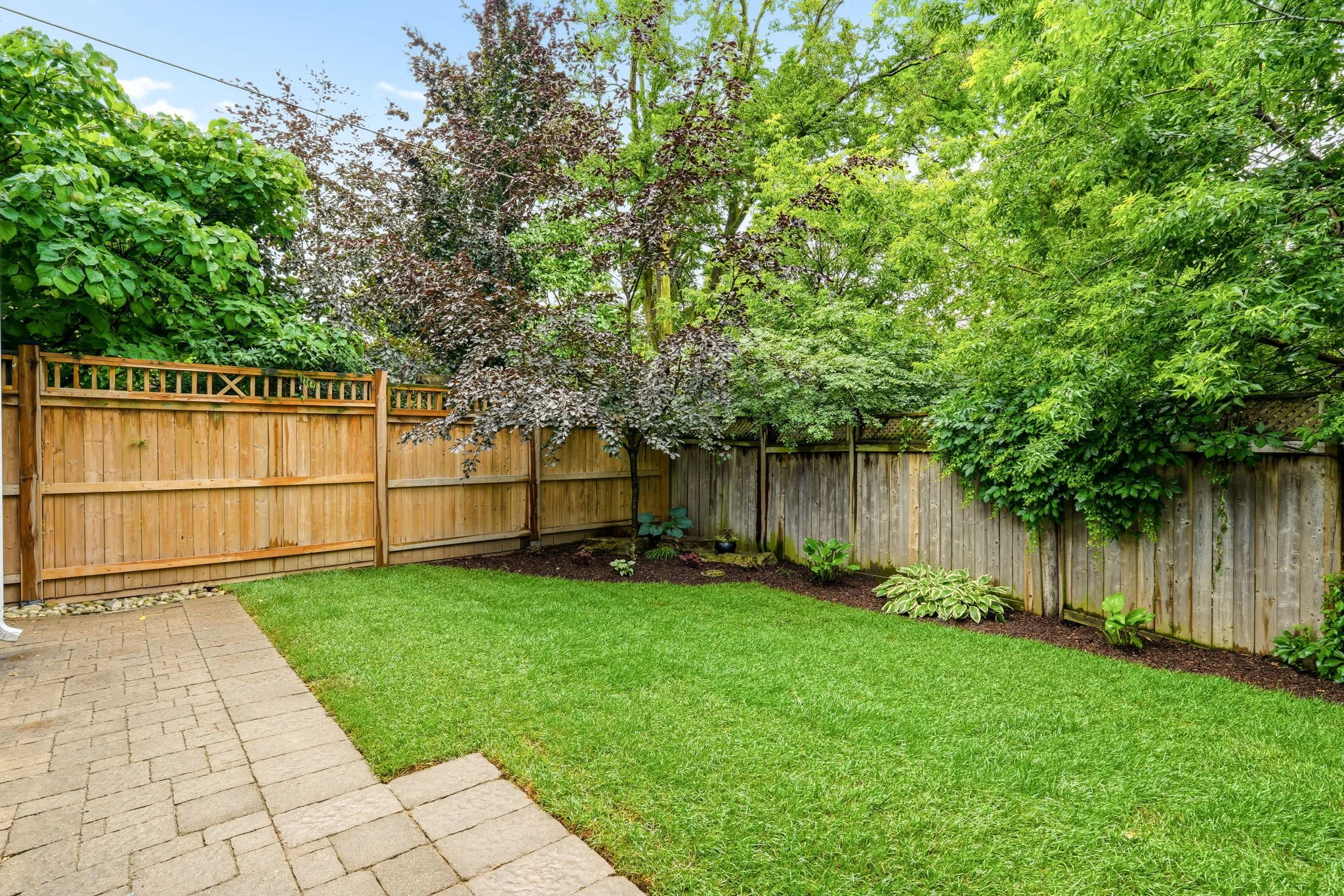 62-web-or-mls-EXTERIOR BACK-3.jpg