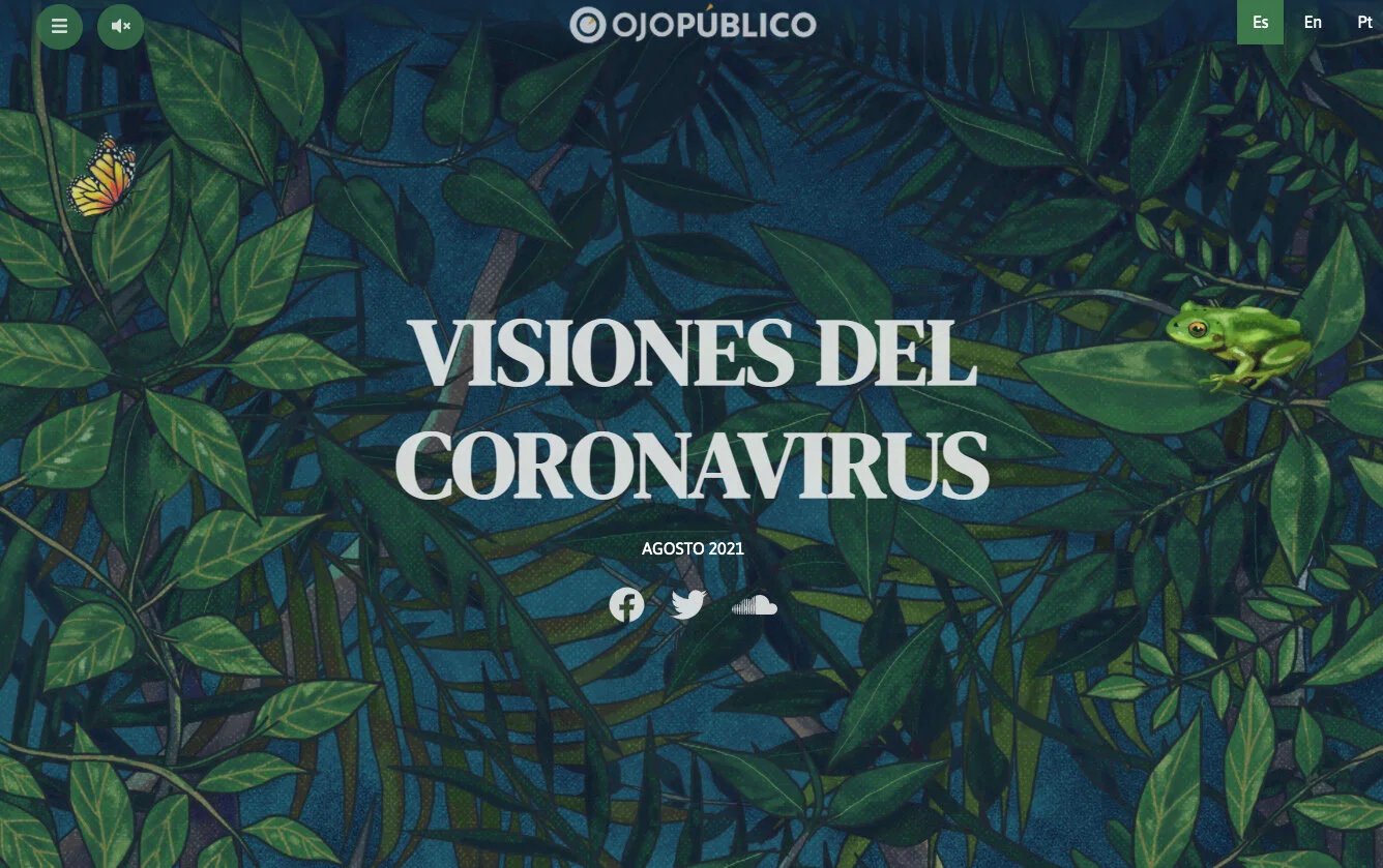 VISIONES CORONAVIRUS.jpg