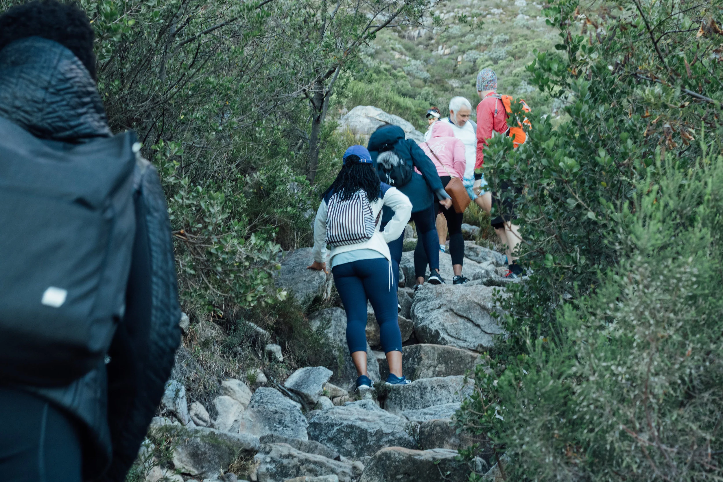 Hiking Table Mountain 