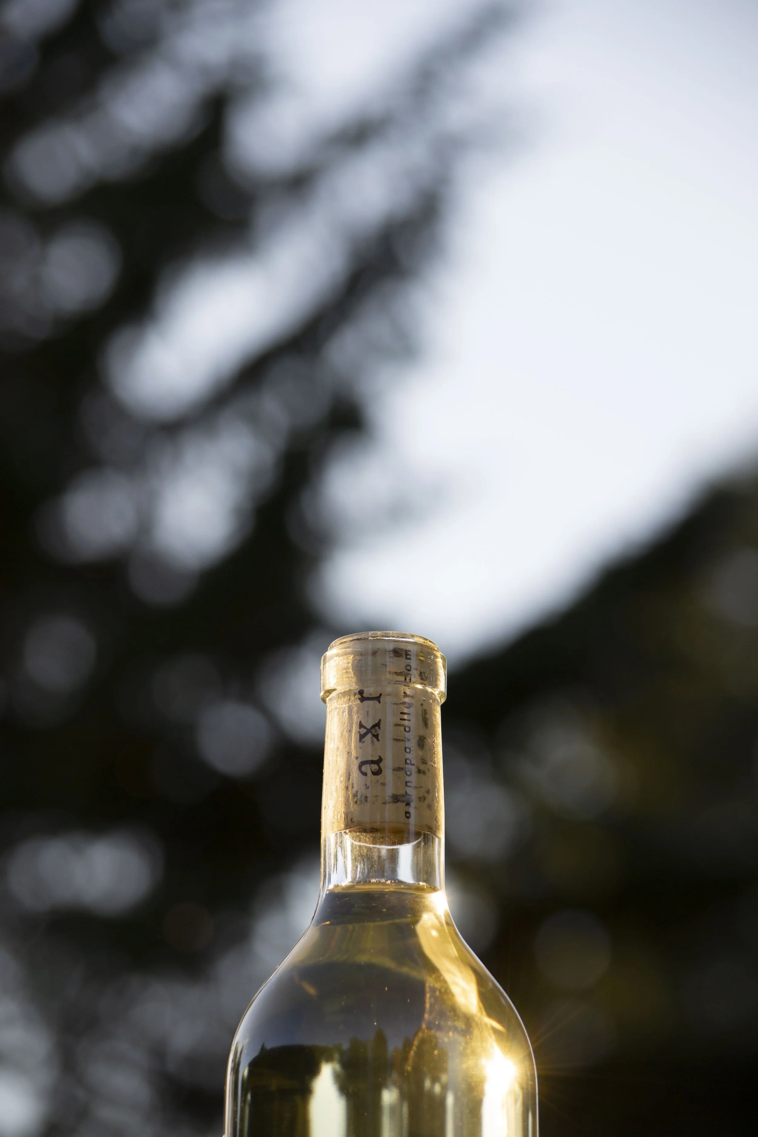 DSC_0901edit.JPG