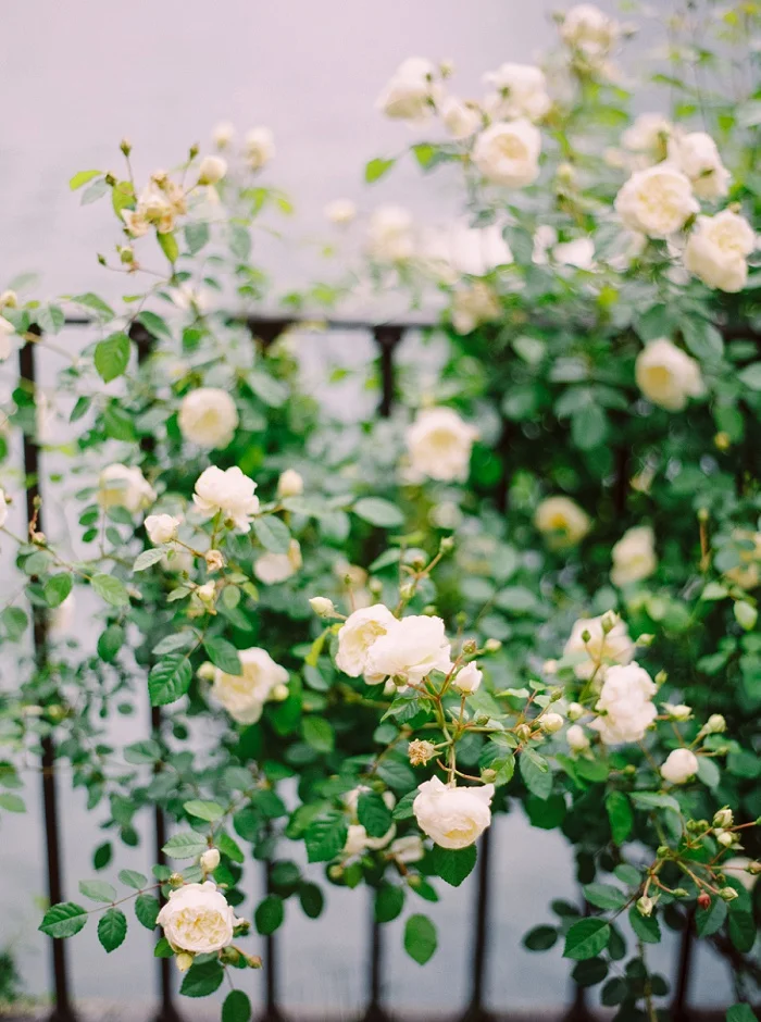 Calgary Wedding Photographers | Justine Milton Photography | Destination Wedding Photographer | Lake Como Italy Travel Photos