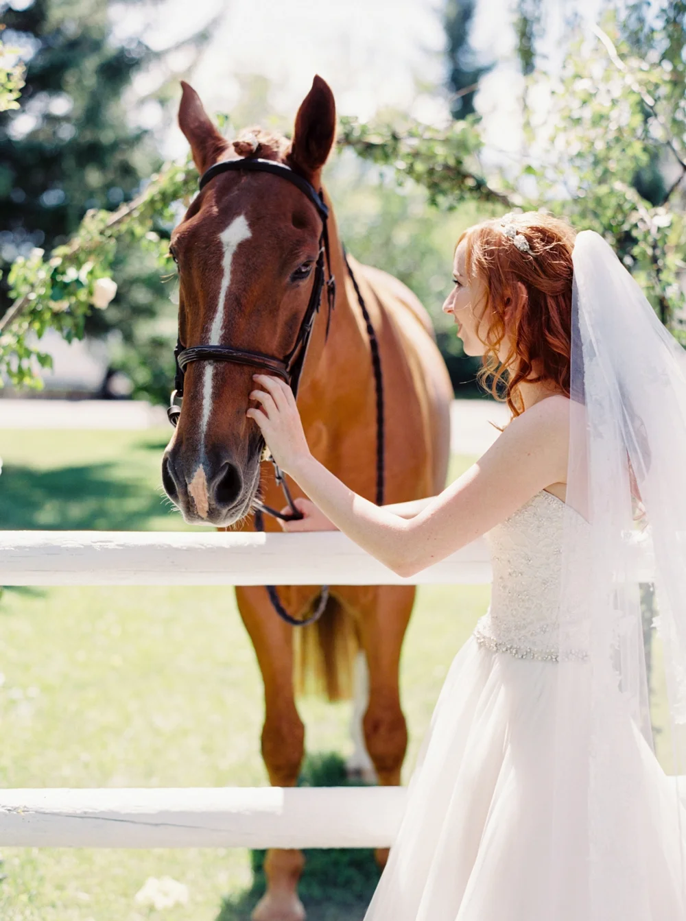 Calgary Wedding Photographer | Canmore Wedding Photographers | Banff Wedding Photography | Fairmont Palliser | Calgary Church | Blue bridesmaids
