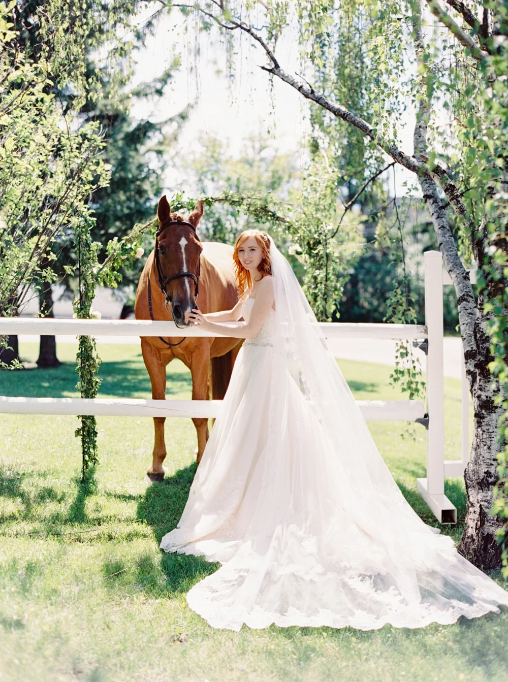 Calgary Wedding Photographer | Canmore Wedding Photographers | Banff Wedding Photography | Fairmont Palliser | Calgary Church | Blue bridesmaids