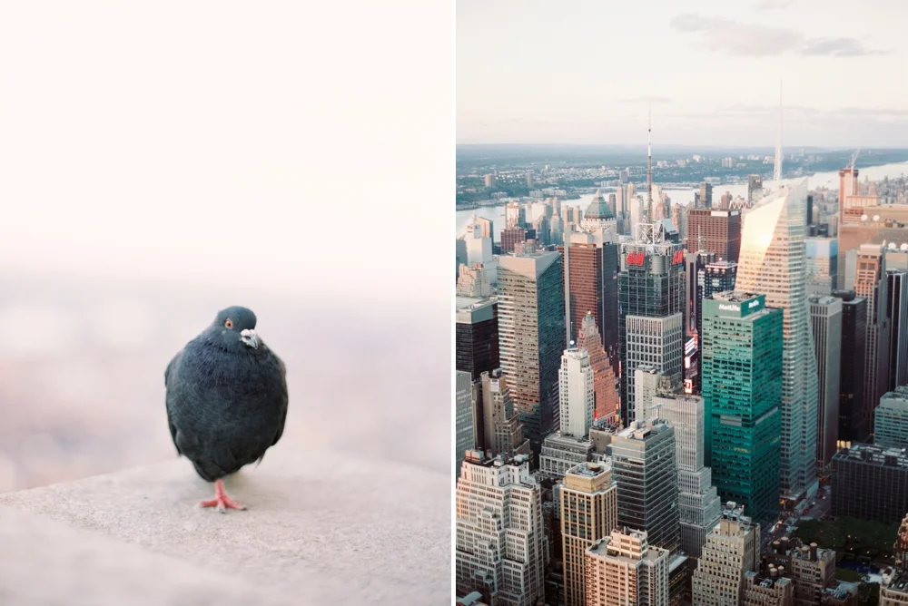 Calgary Wedding Photographers | Travel Photography | Print Shop | NYC | New York City