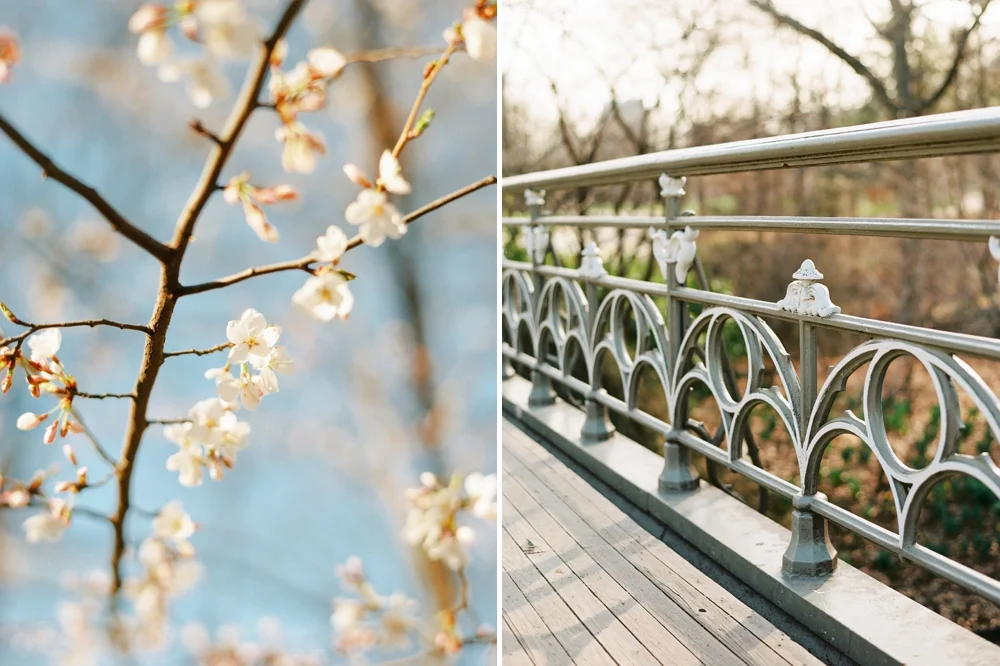 New York City Travel Photography | Fine art film photographers | destination wedding photographer