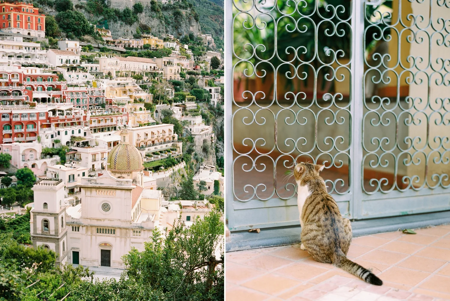 Calgary wedding photographers | fine art film | Justine Milton Photography | amalfi coast | ravello photographers | italy photography | travel photographers | cat