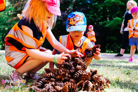 westonbirt-arboretum-2018-06-28--2137-214464-099.jpg