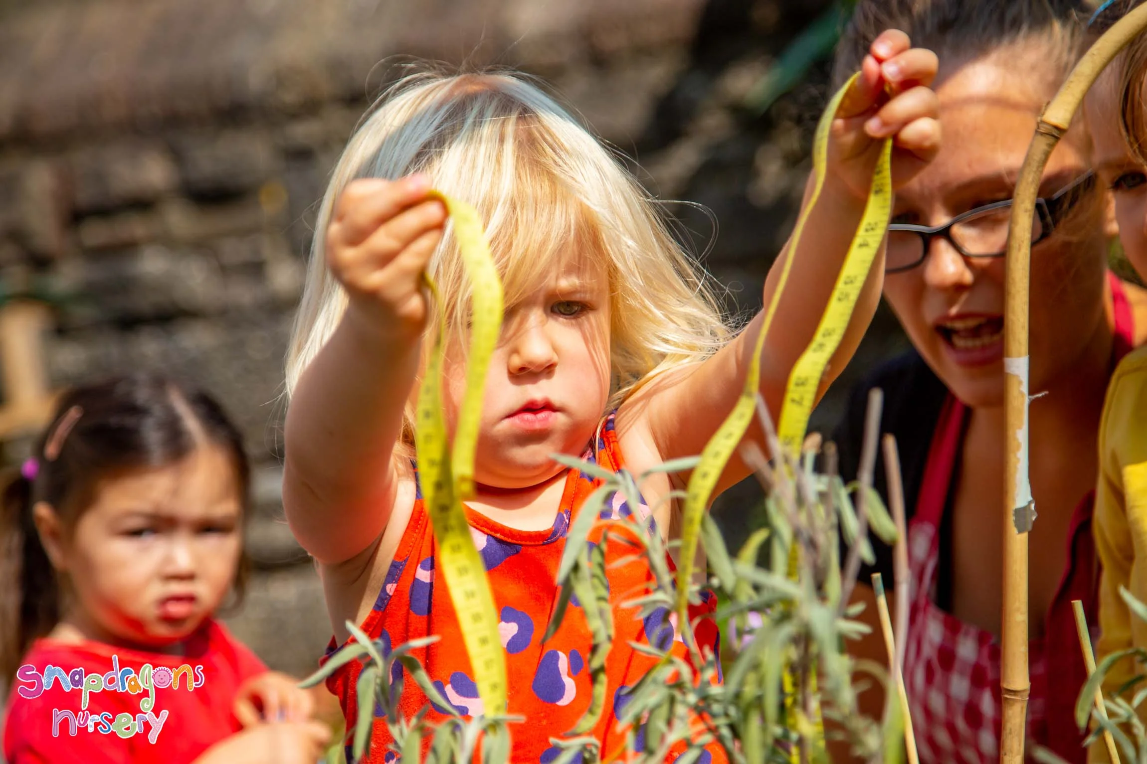 Summer Gardening