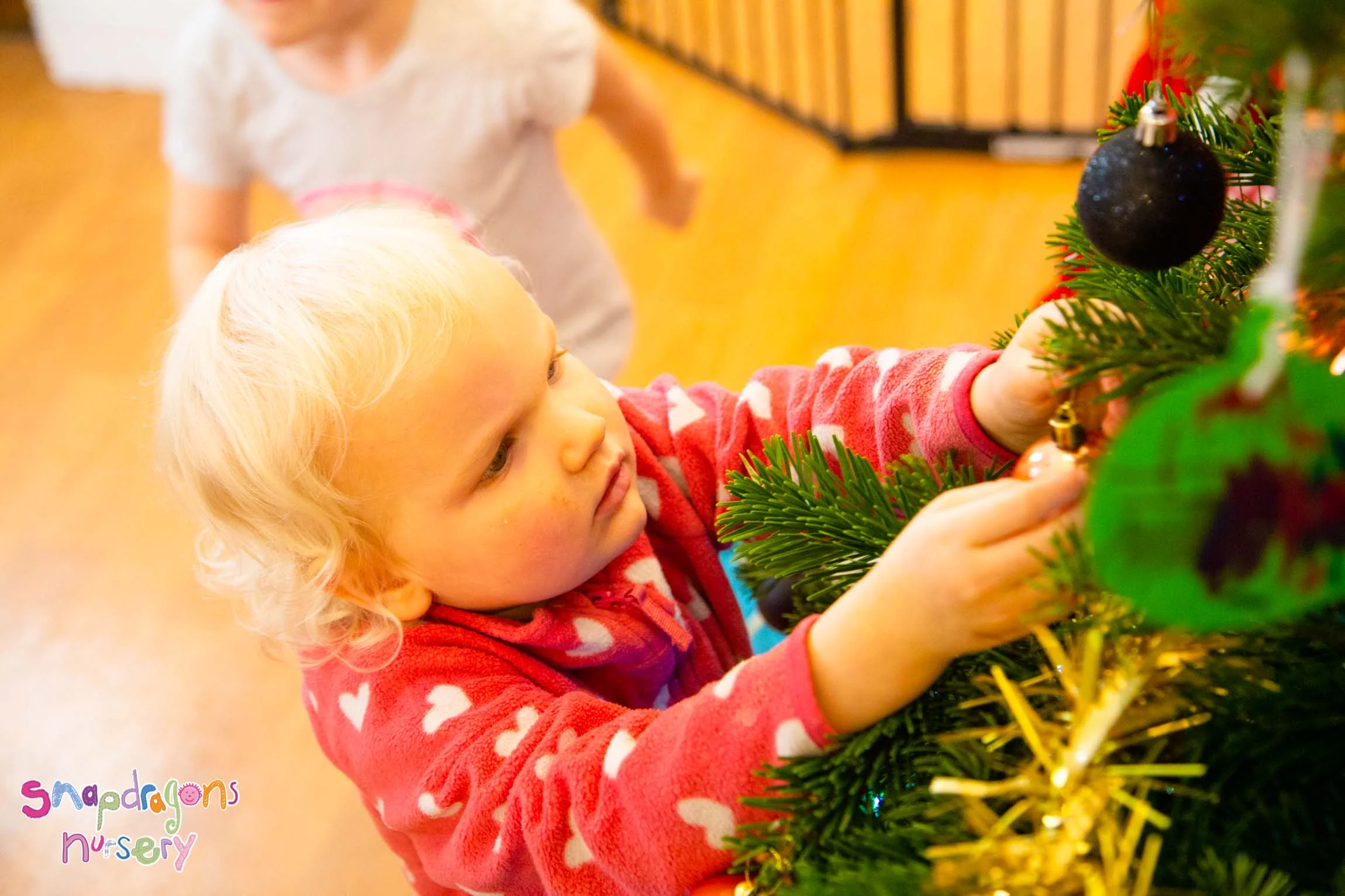 Tree Time