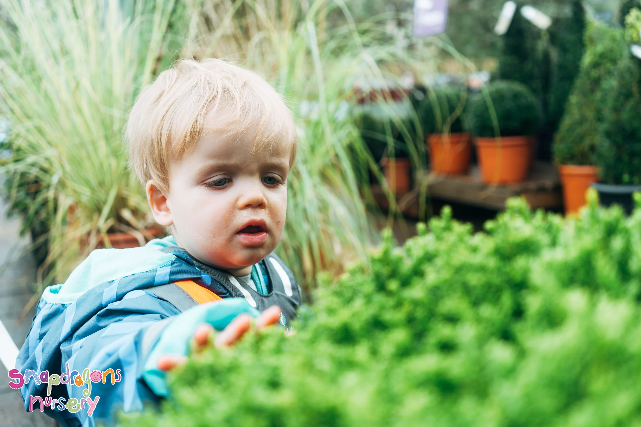 Baby gardens