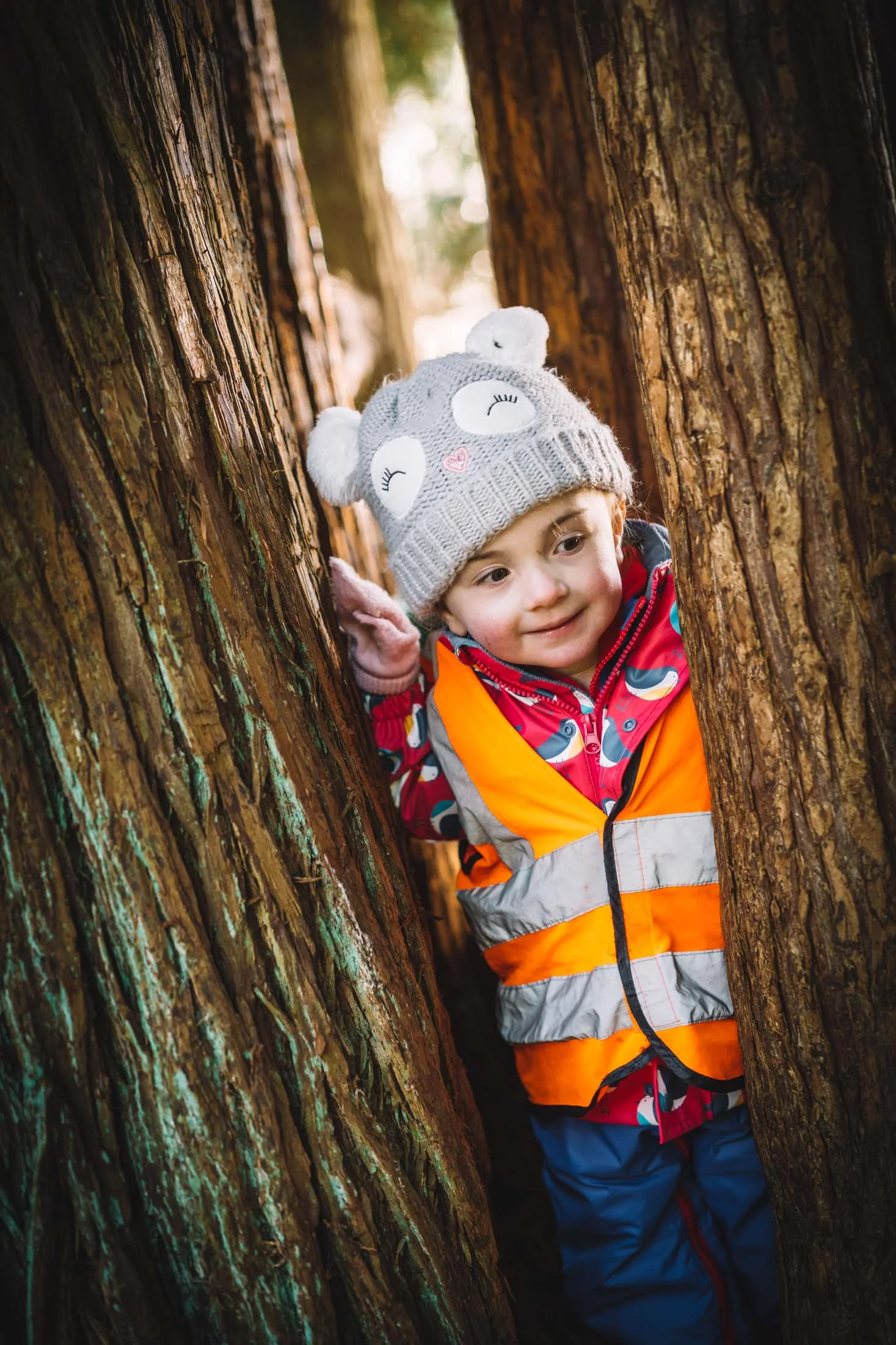 Toddlers & Trees