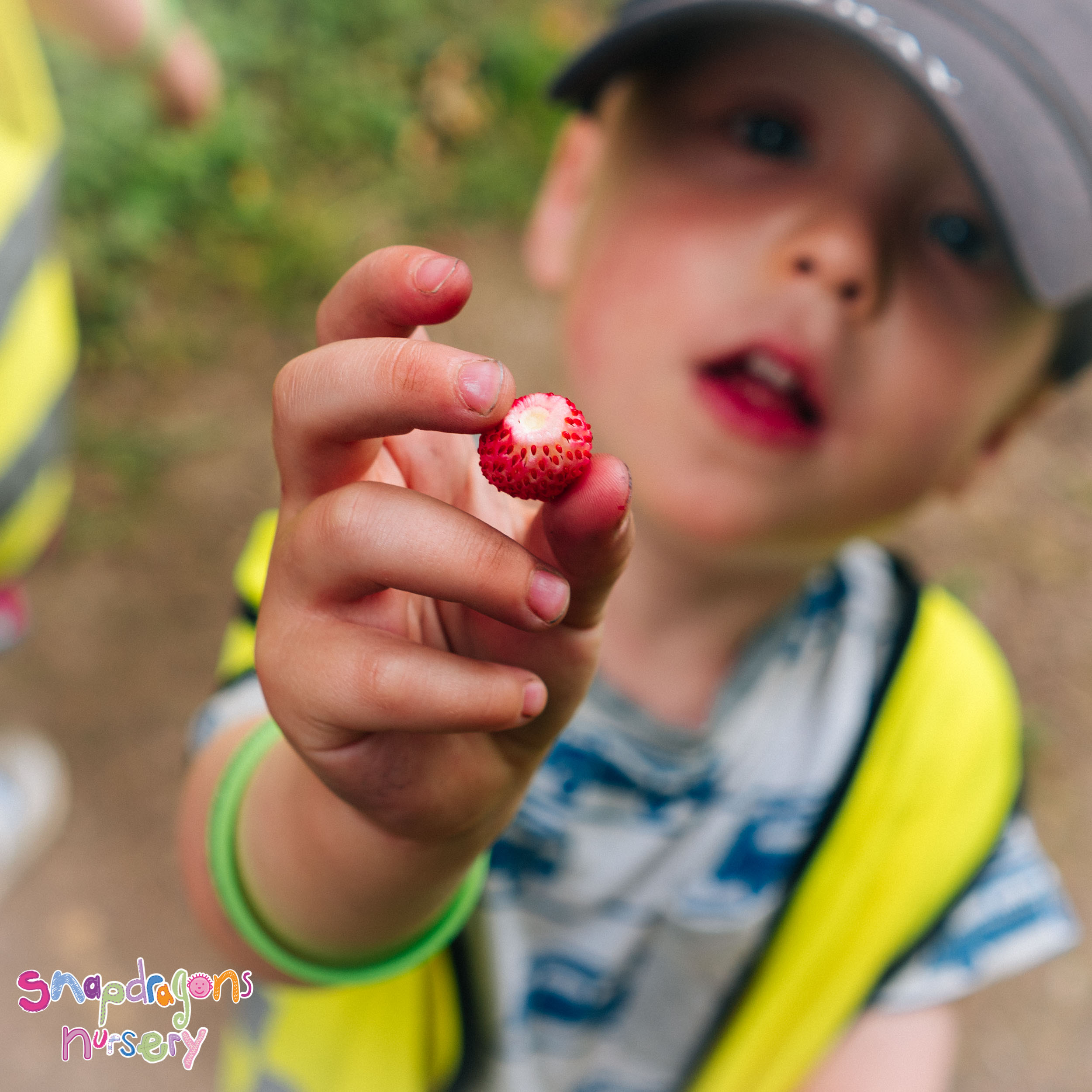 snapshot-grosvenor-2019-07-09--2335-245147-134.jpg
