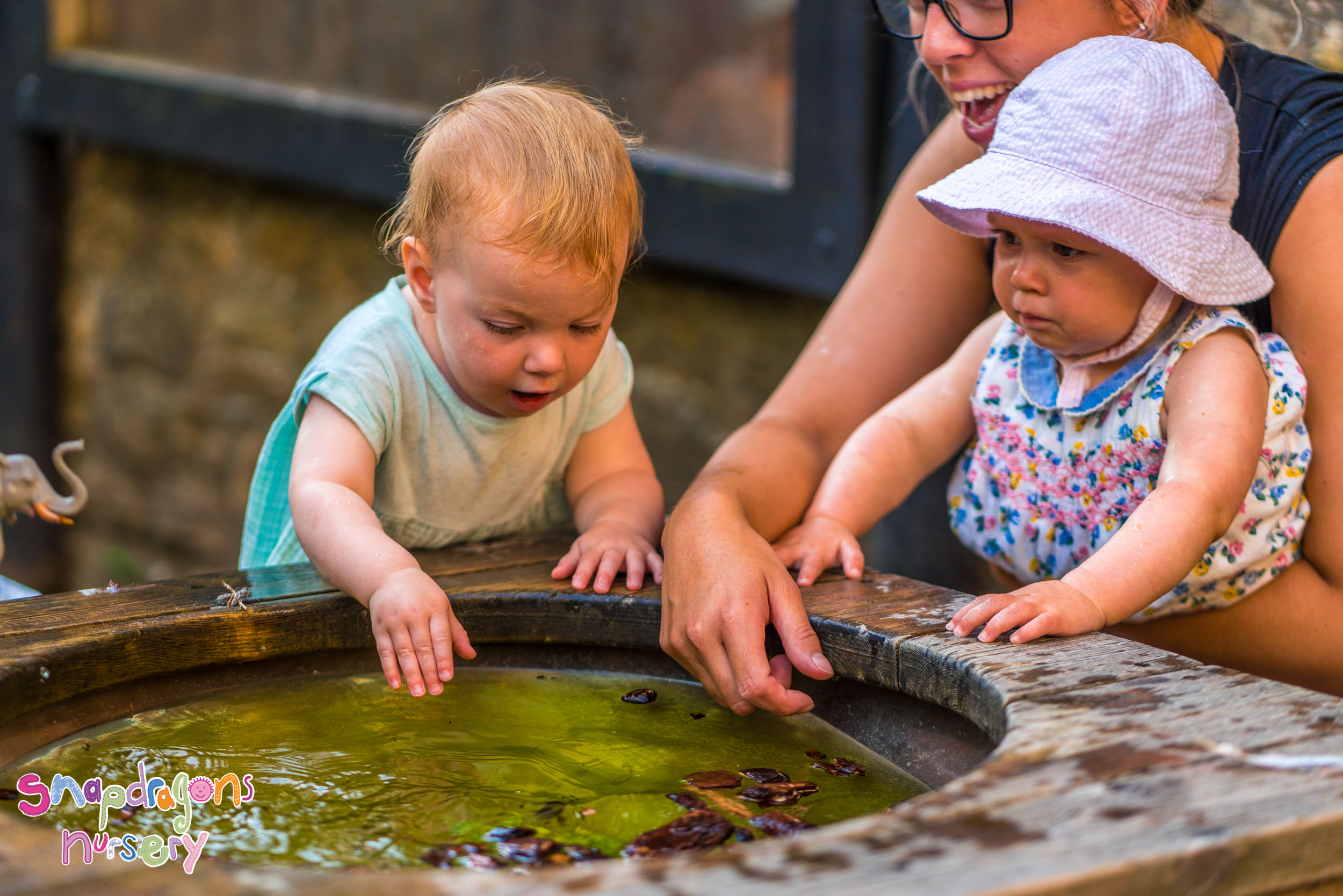 What could be lurking in the green water?