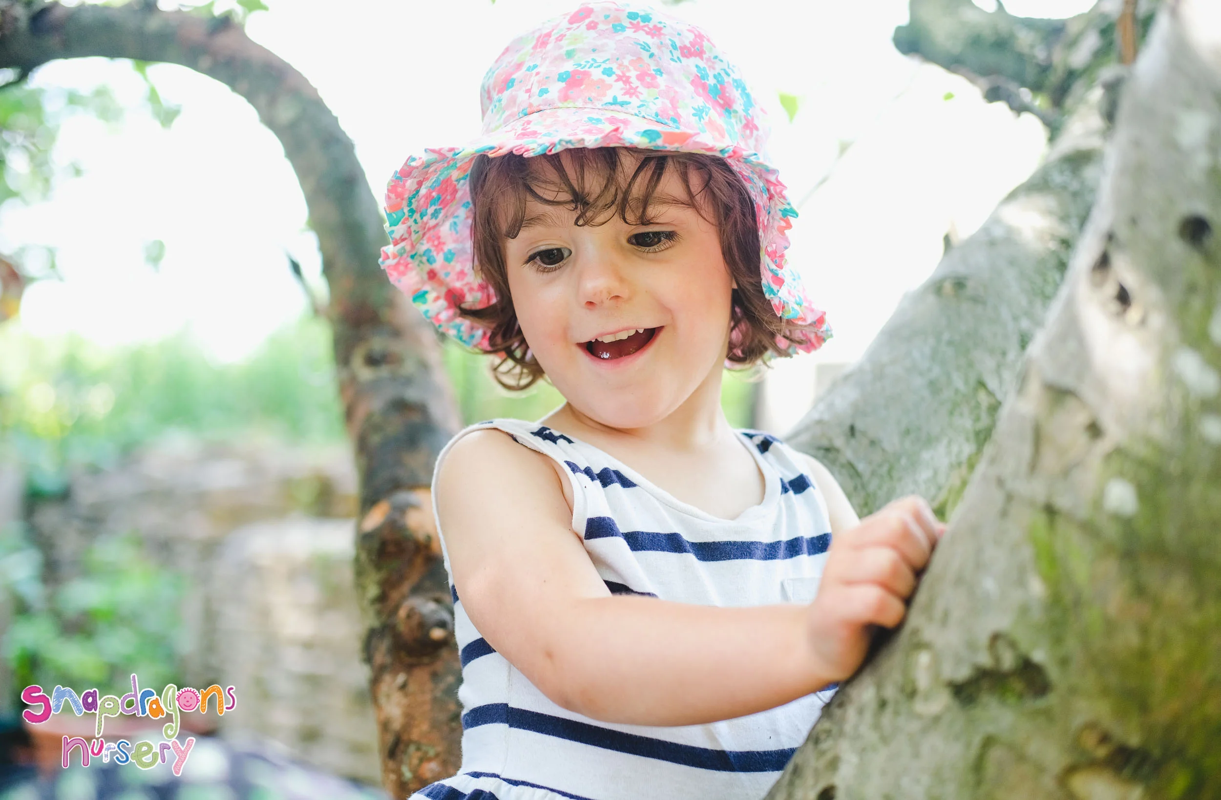 Preschool - Tree climbing