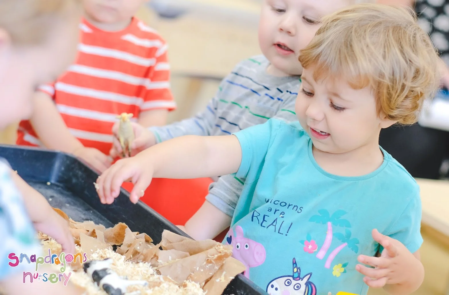 snapshot-broadwood -2019-07-31--276-69884-338.jpg