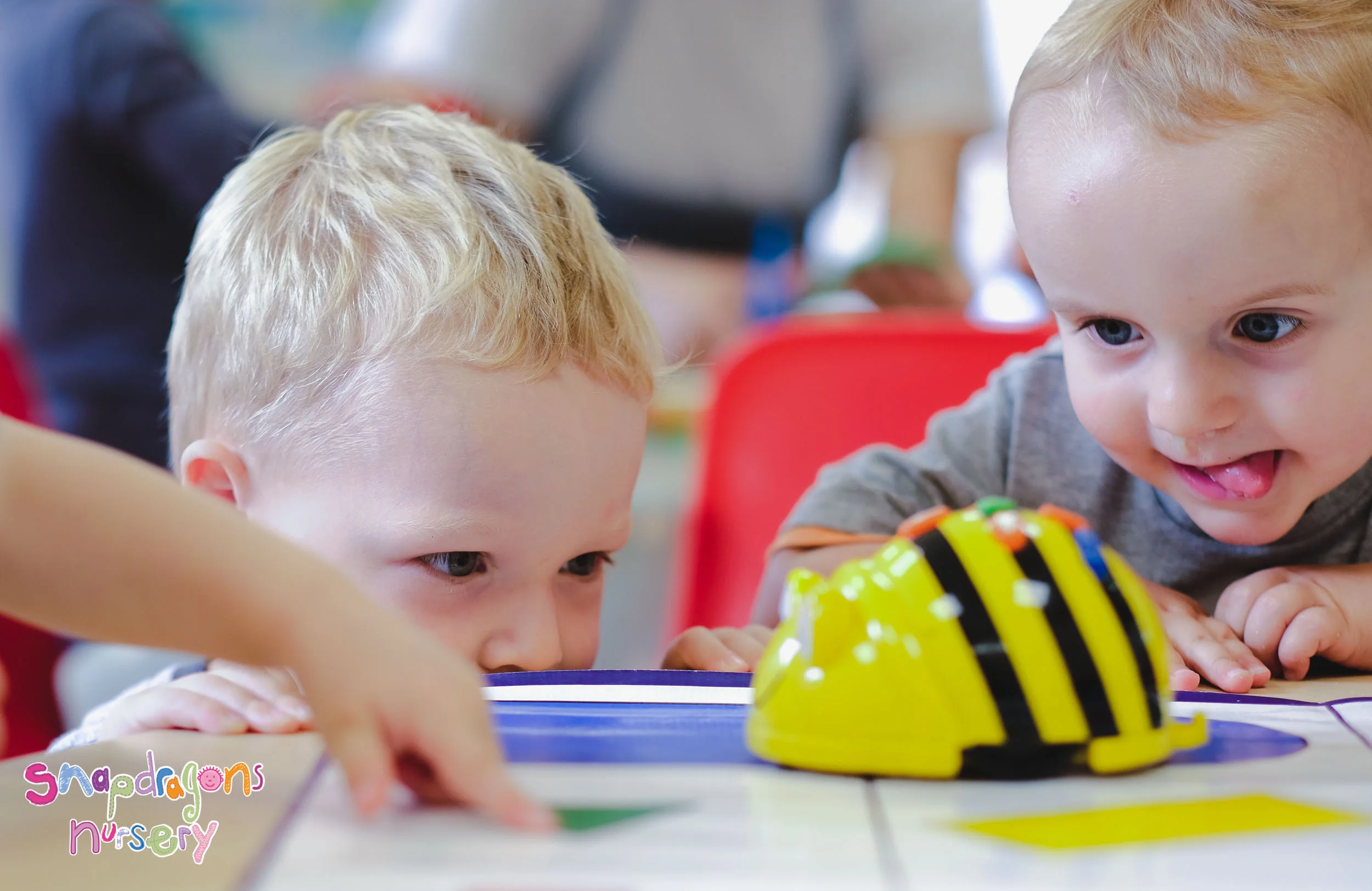 Toddlers - Bee-Bot
