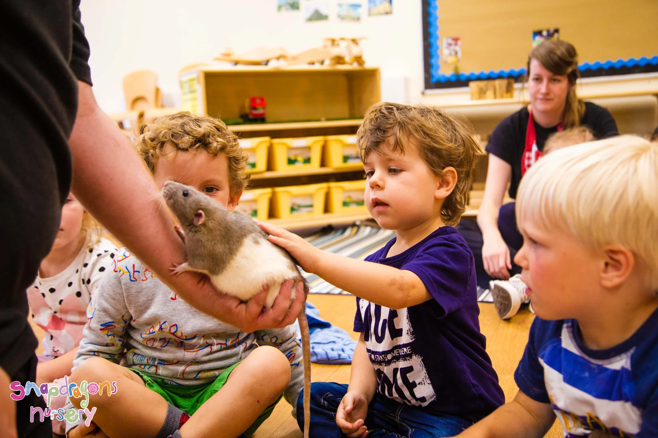 Zoo Lab