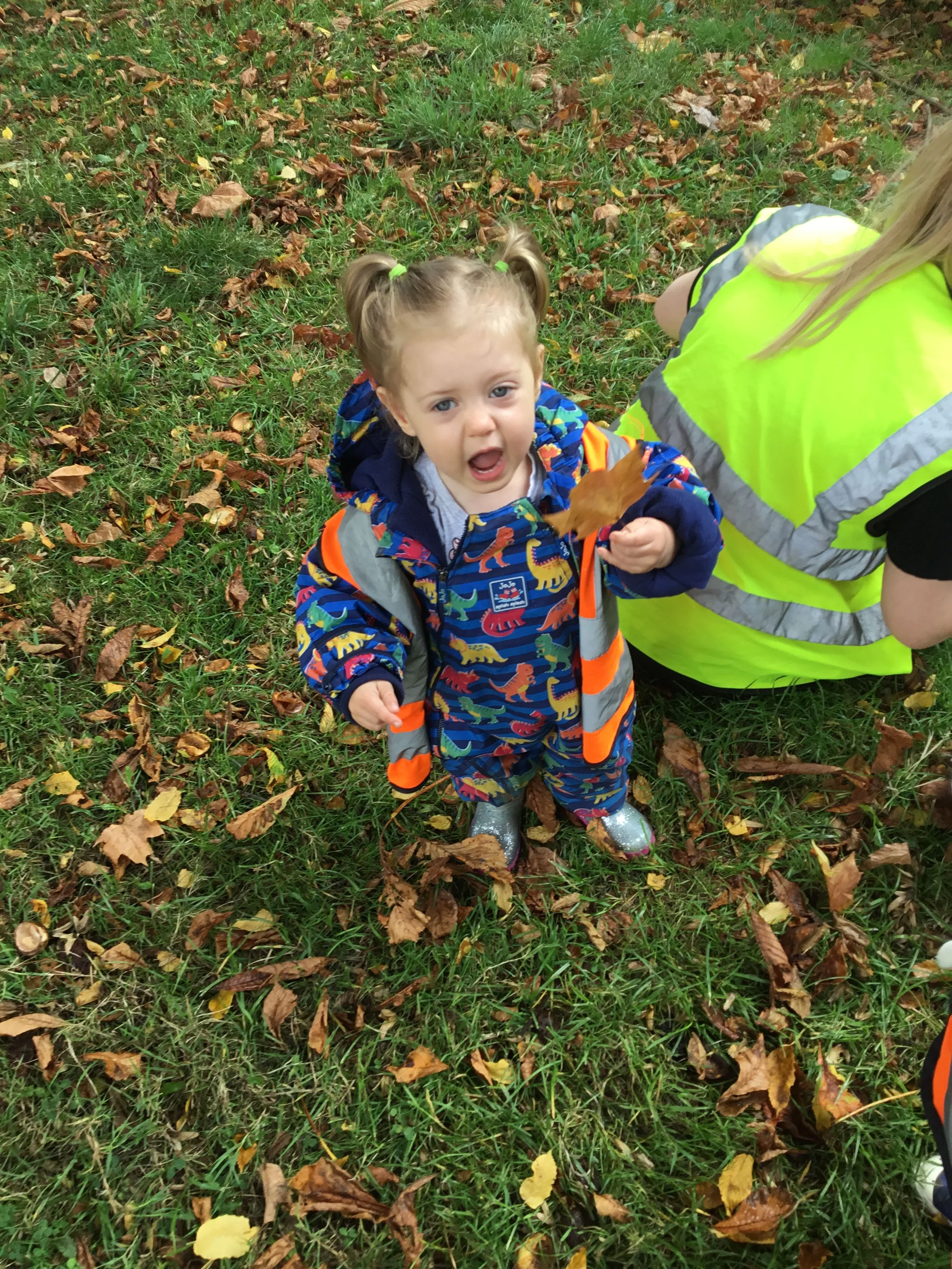 Look at the size of that leaf!