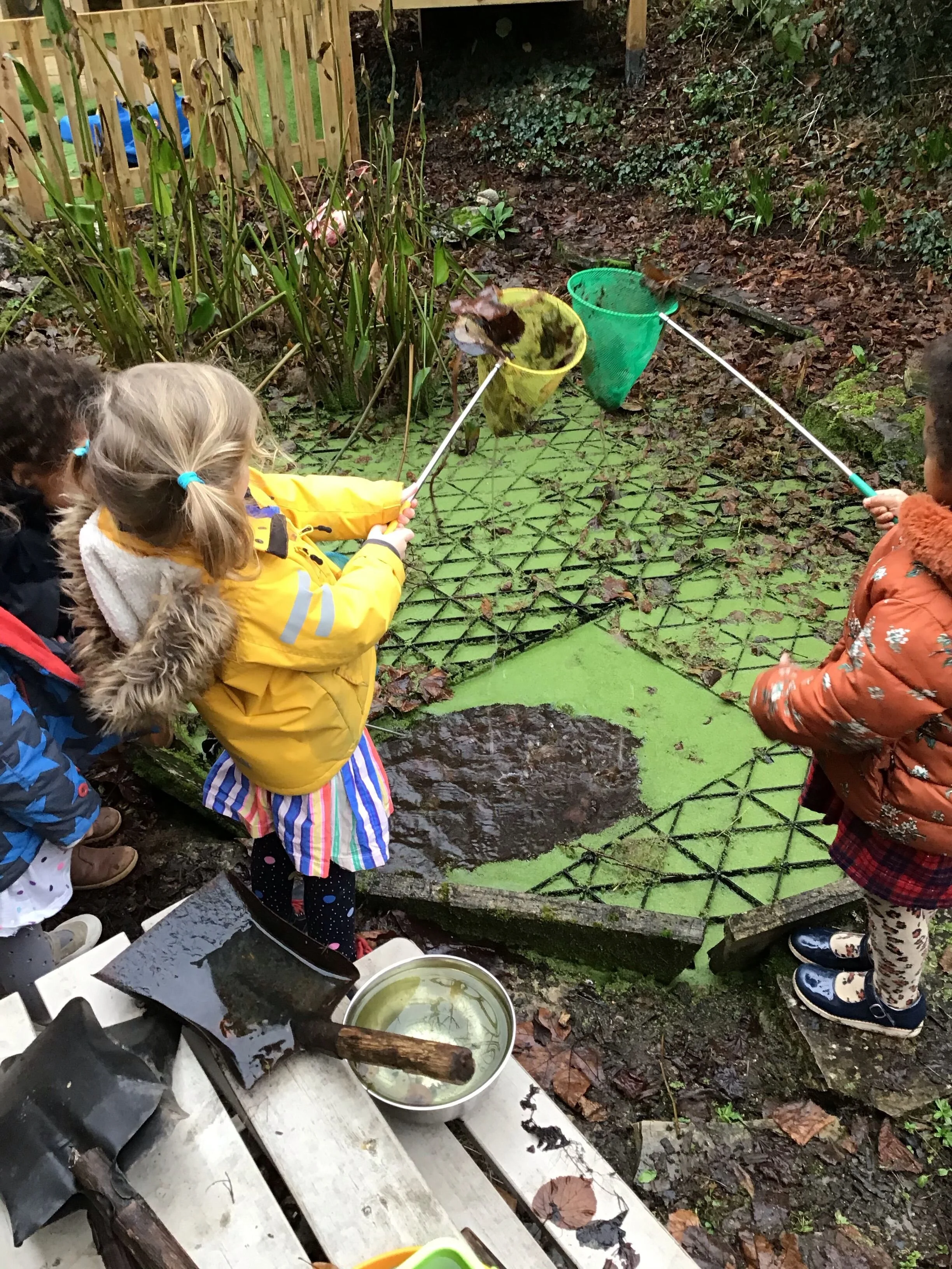 Pond dipping.jpeg