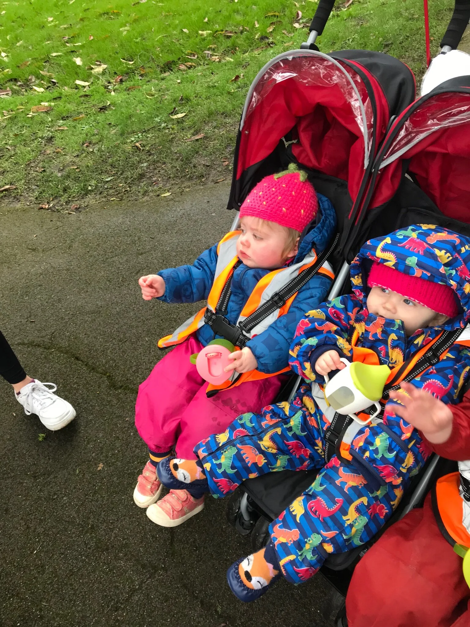 baby botanical walk.jpeg