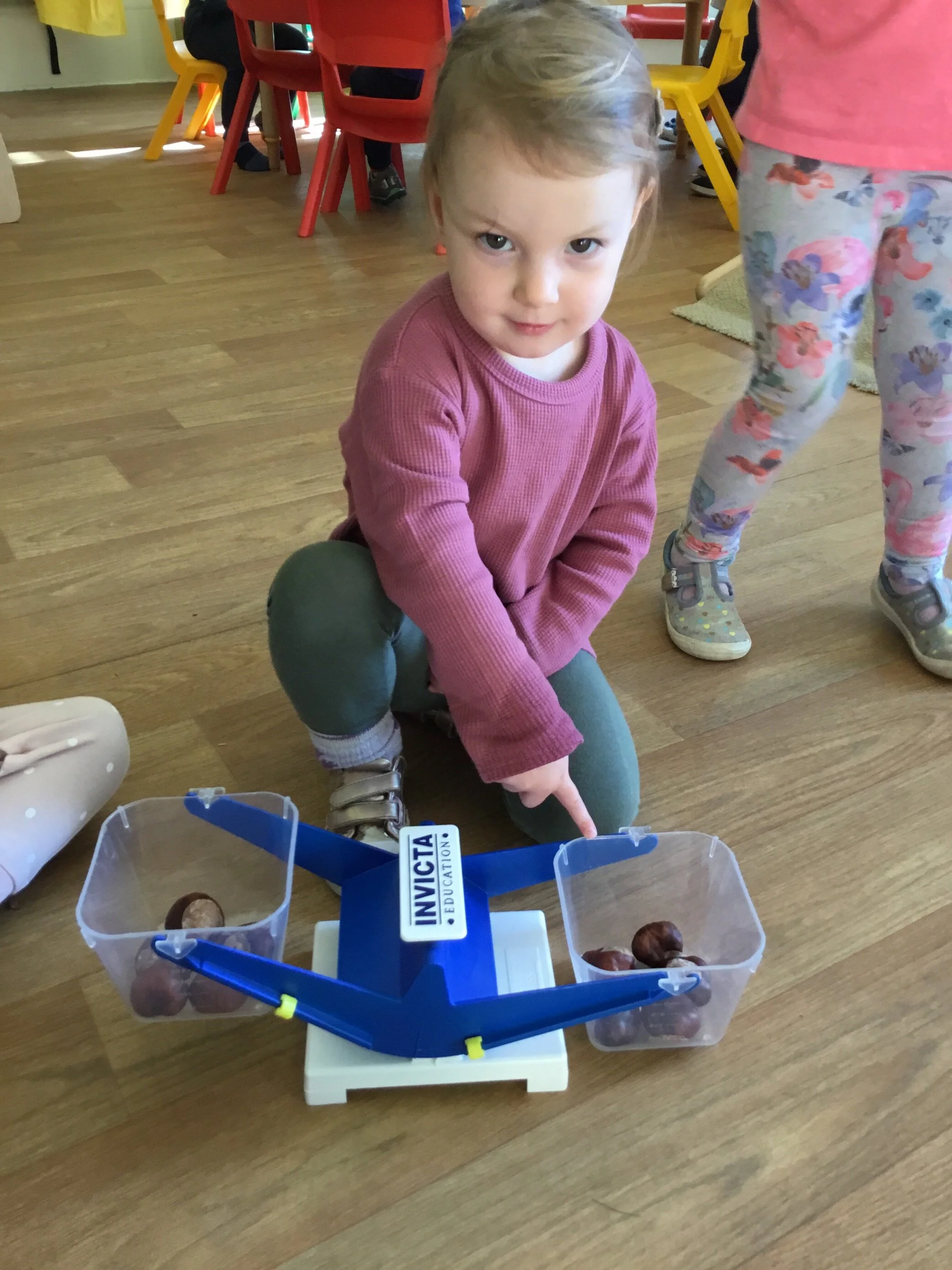 Toddlers used conkers to practice thier mathematics!