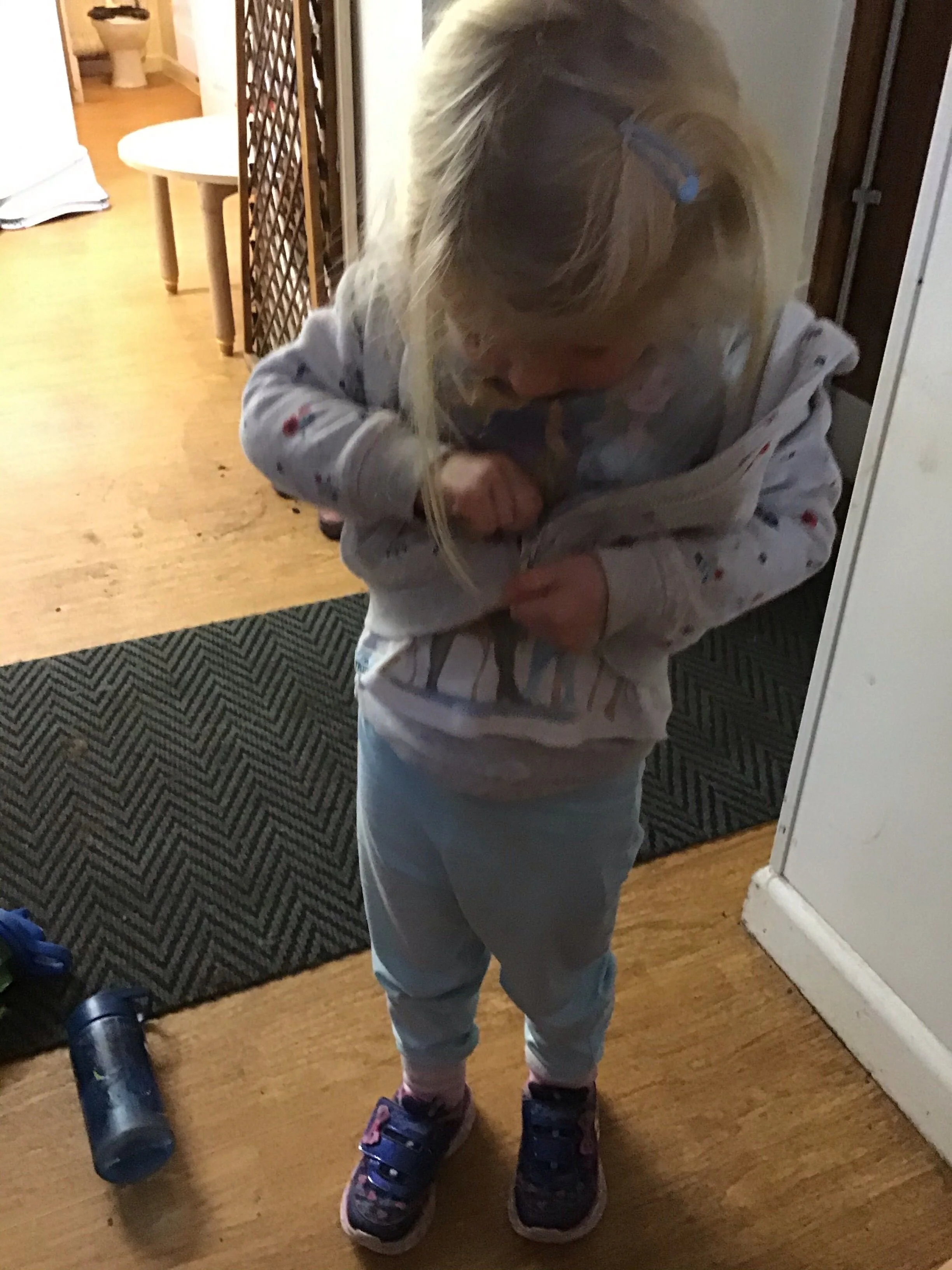 479183.jpg